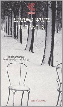 Il flâneur. Vagabondando tra i paradossi di Parigi Art & Literature
