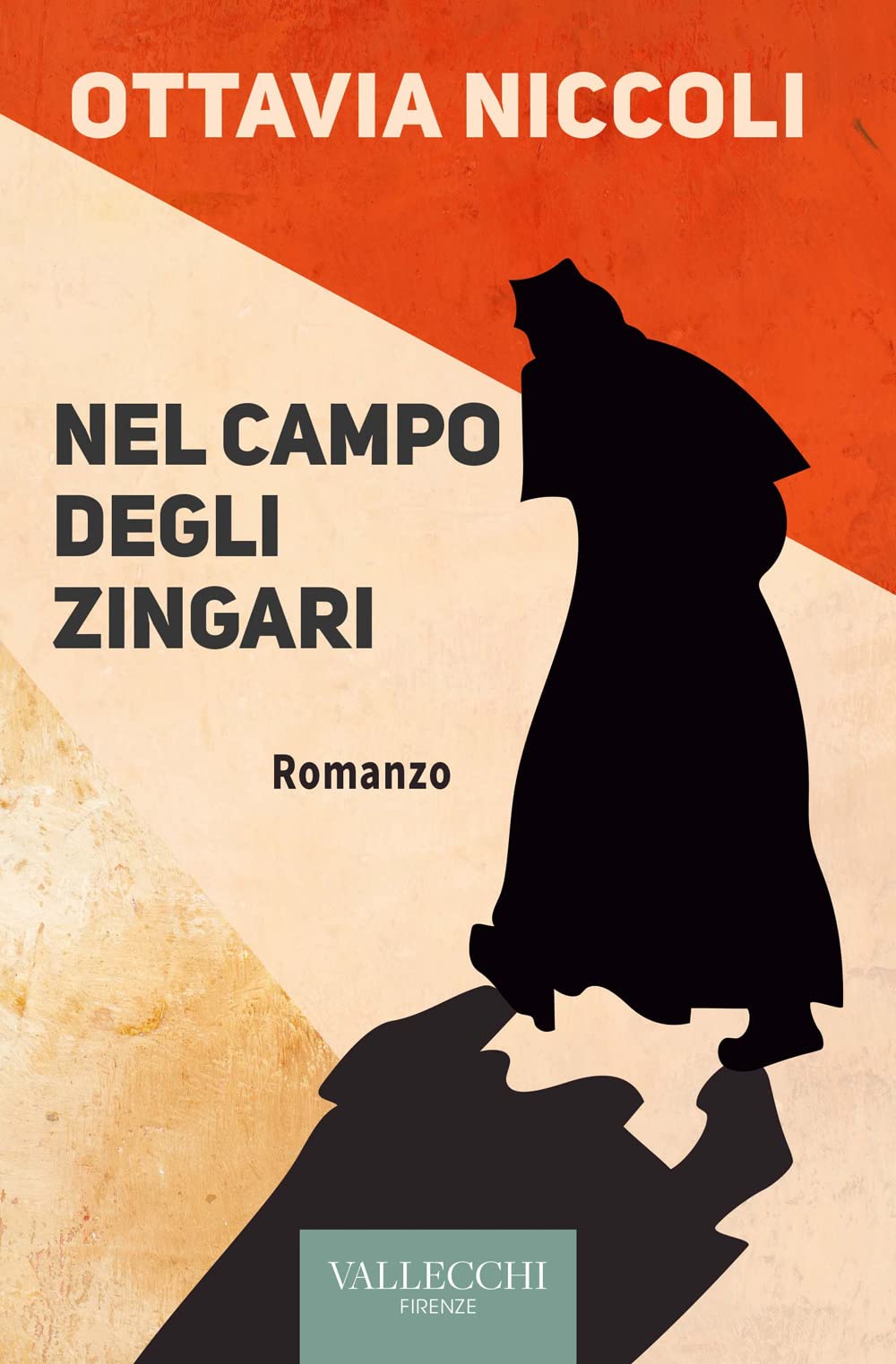 Nel campo degli zingari book