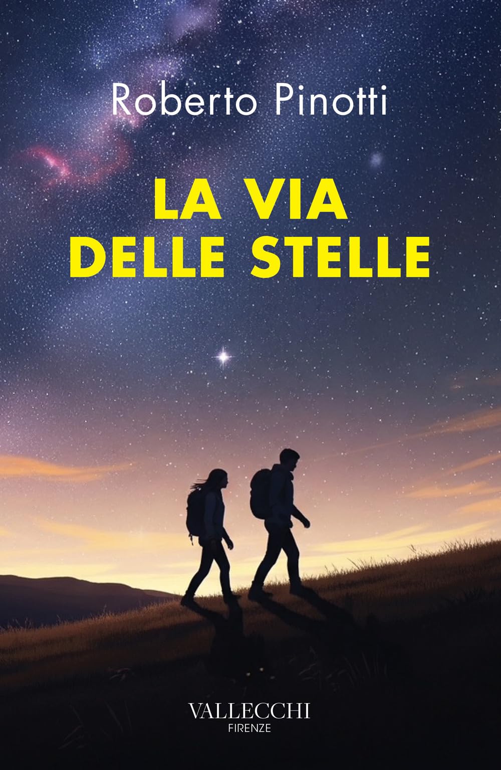 La via delle stelle book