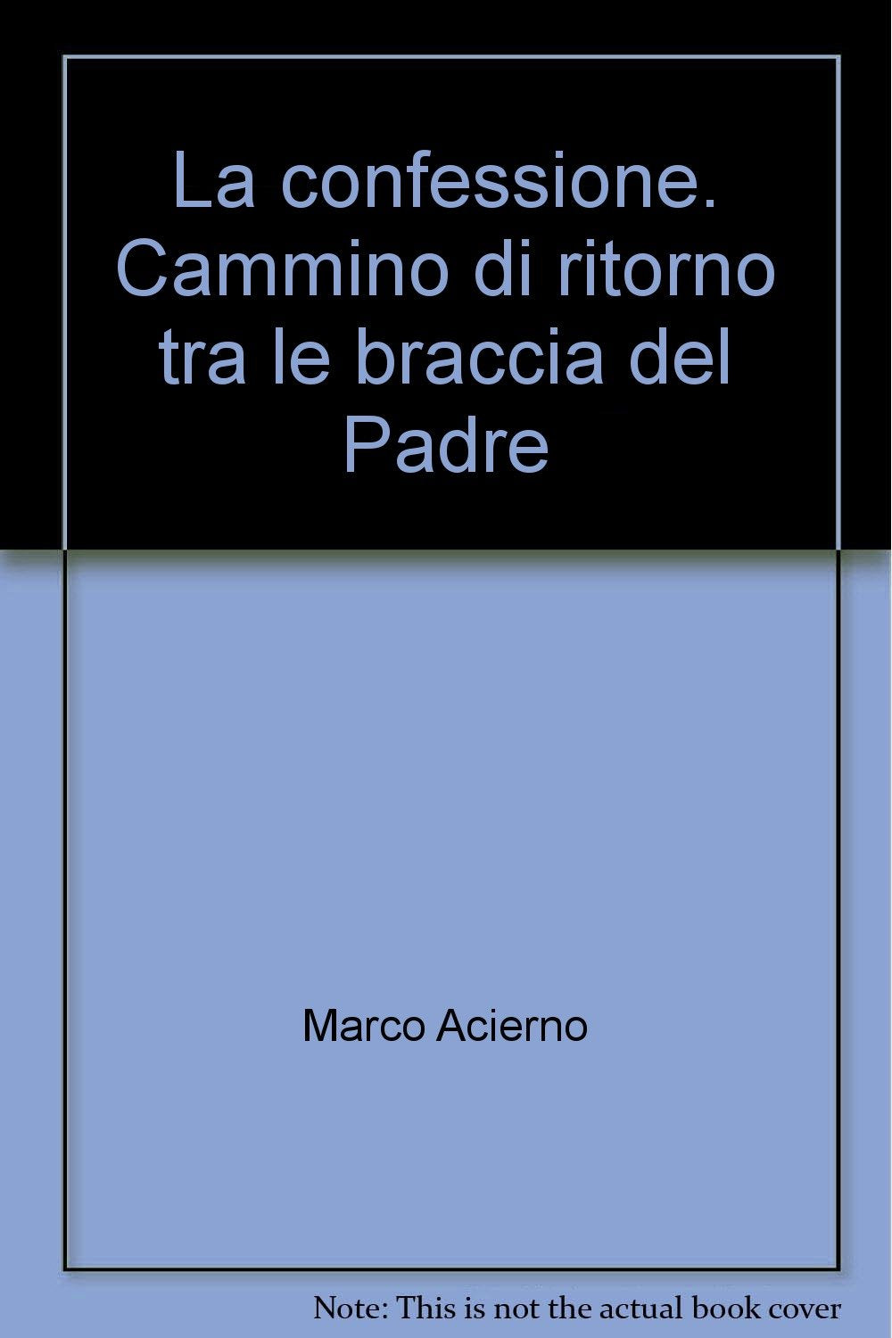 La confessione. Cammino di ritorno tra le braccia del Padre book