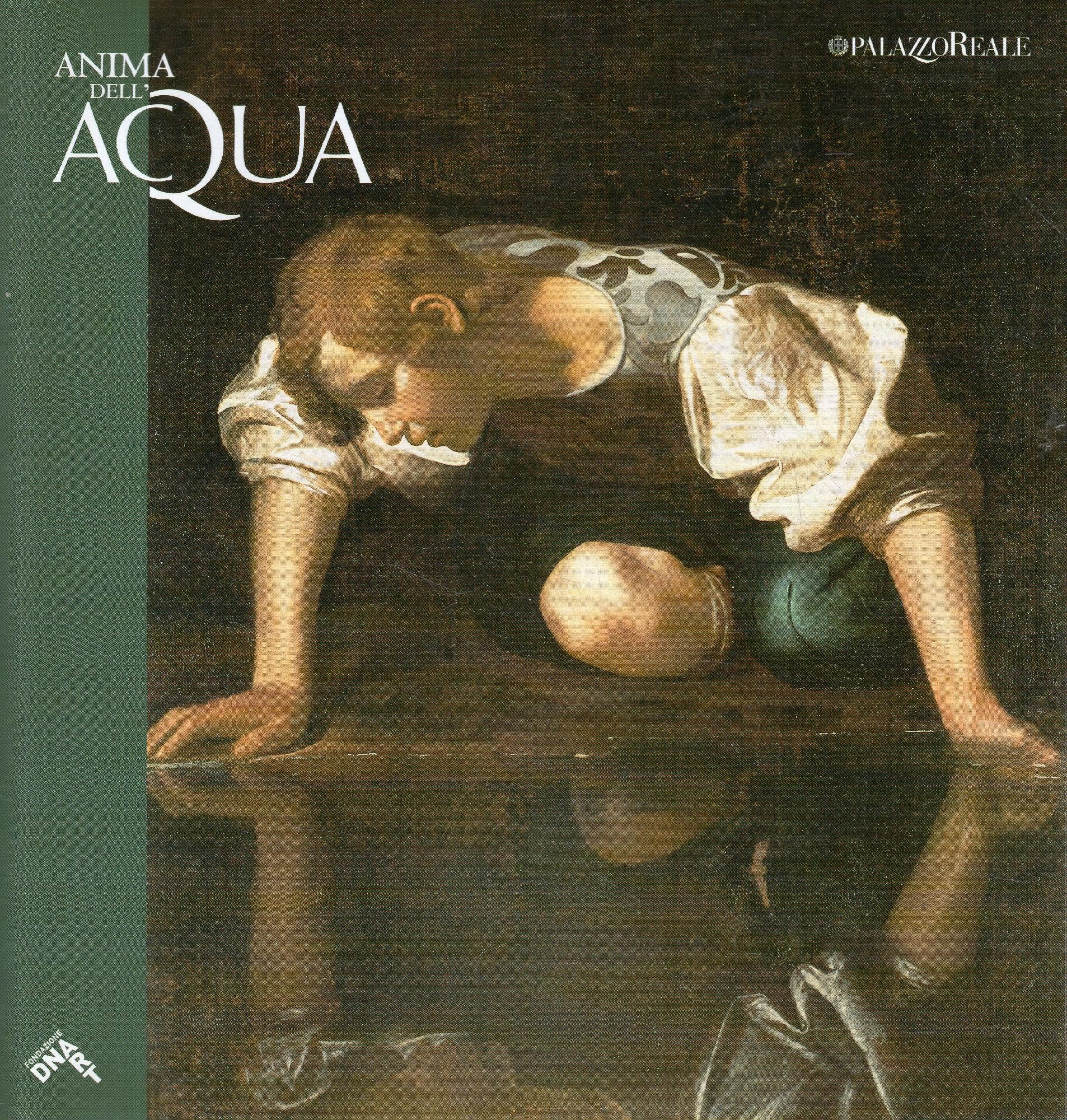 Anima dell'acqua. Da Talete a Caravaggio da Segantini a Plessi. Fondazione DNART. Catalogo della mostra a Palazzo Reale, Milano 29 novembre 2008-29 marzo 2009 book
