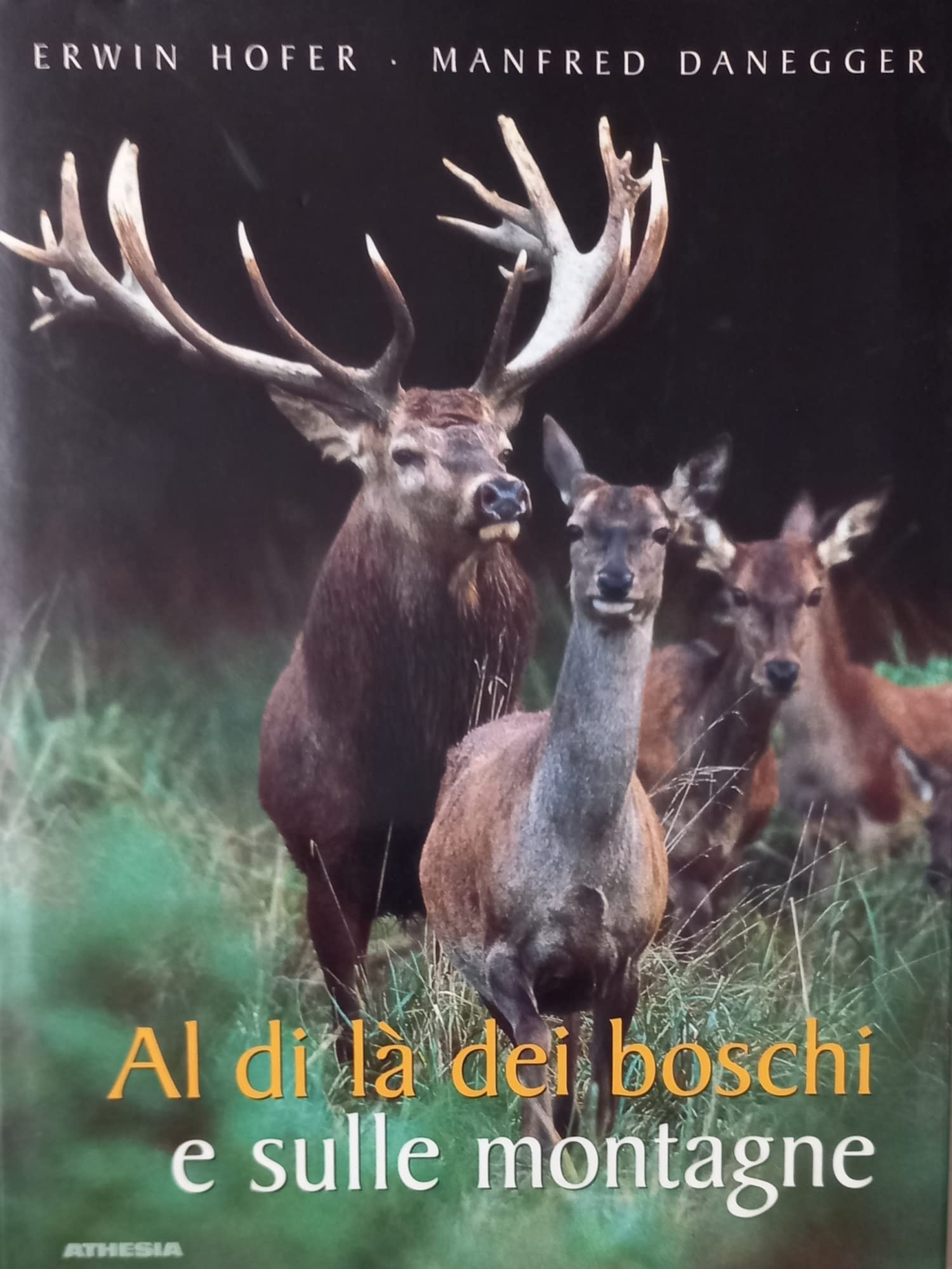 Al di là dei boschi e sulle montagne book