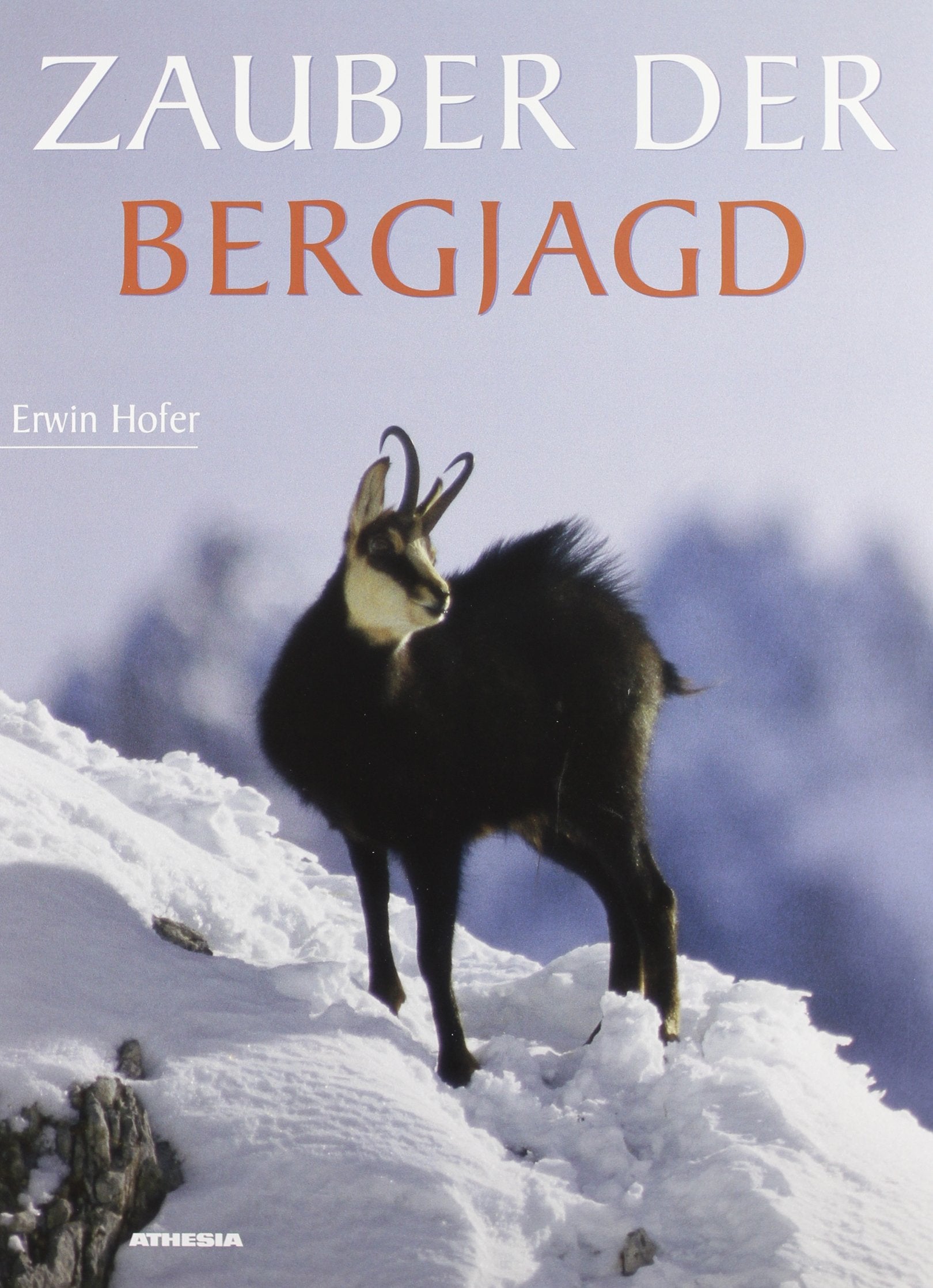 Zauber der Bergjagd Das Lied vom Gletscherind book