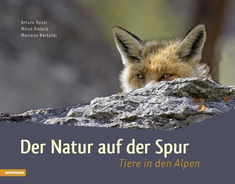 Der Natur auf der Spur: Tiere in den Alpen Leisure, Home & Garden