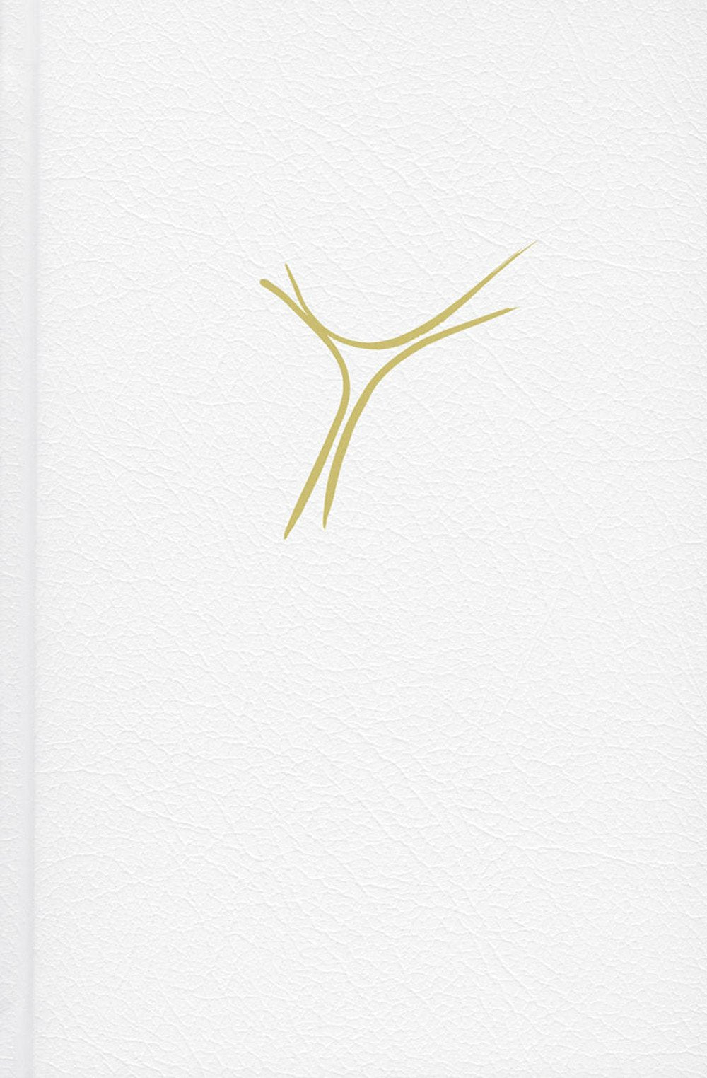 Gotteslob. Grossdruck Balacron book