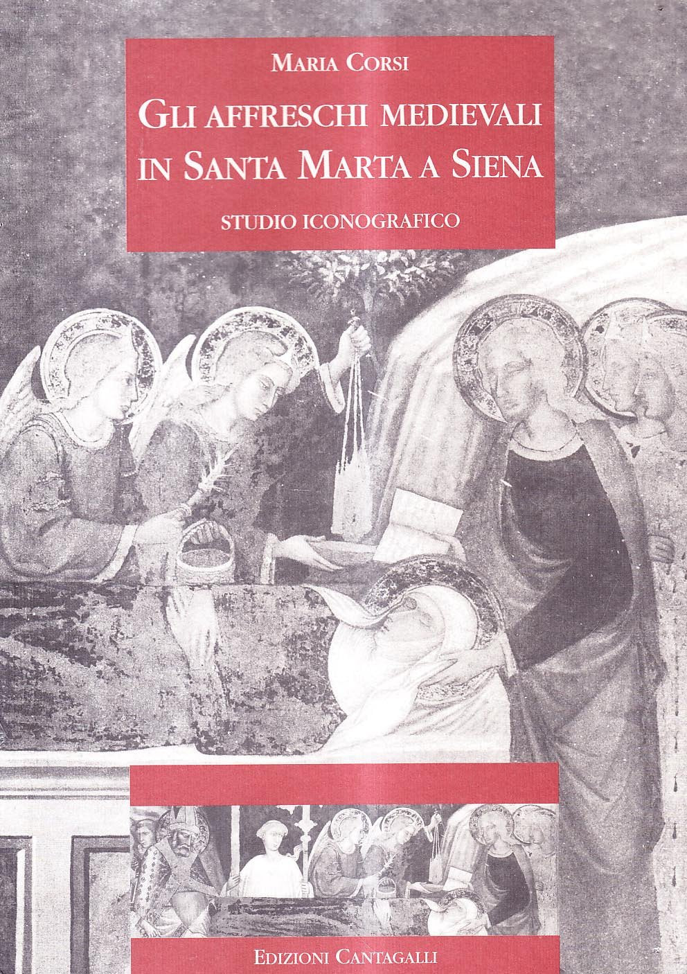 Gli affreschi medioevali in Santa Marta in Siena. Studio iconografico book