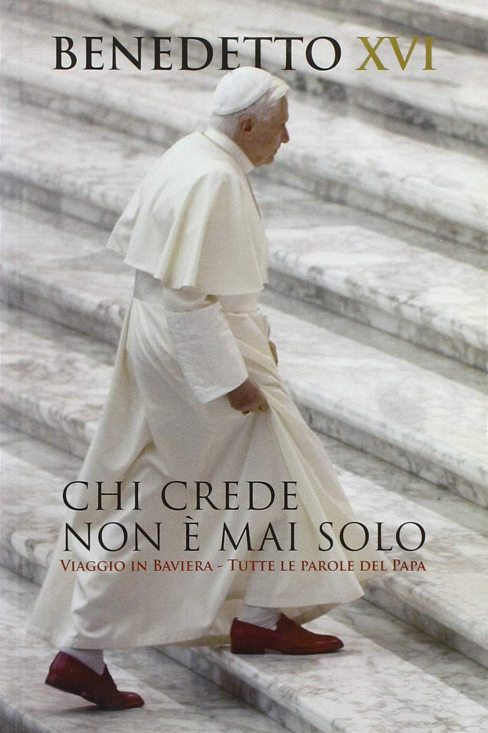 Chi crede non è mai solo. Viaggio in Baviera. Tutte le parole del Papa book