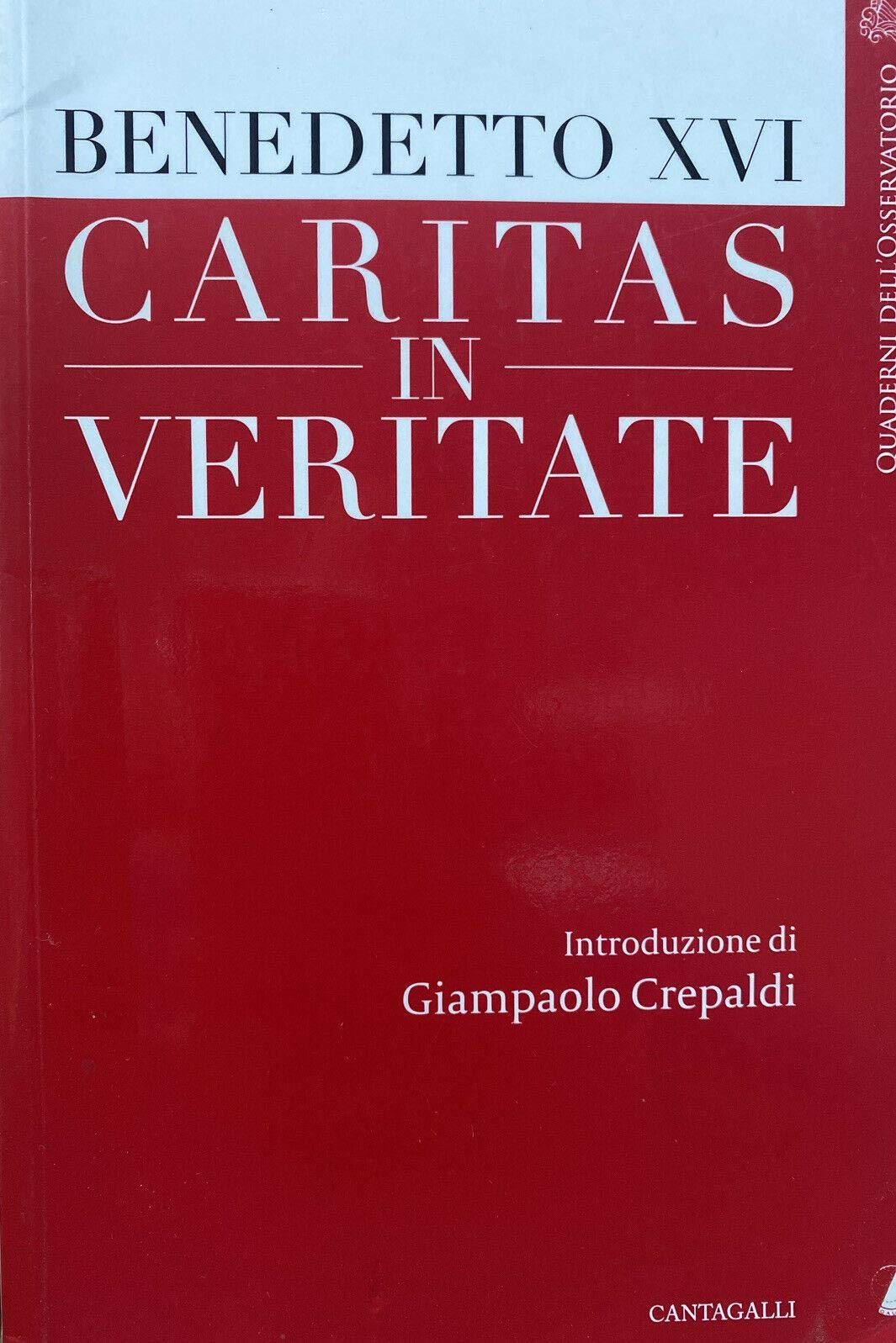Caritas in veritate book