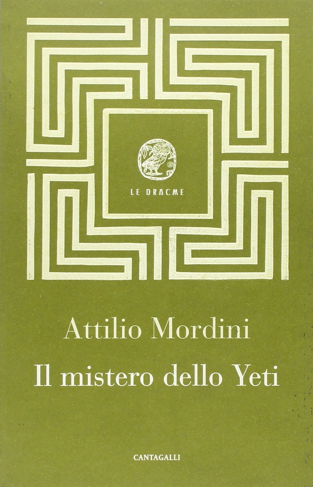 Il mistero dello Yeti book
