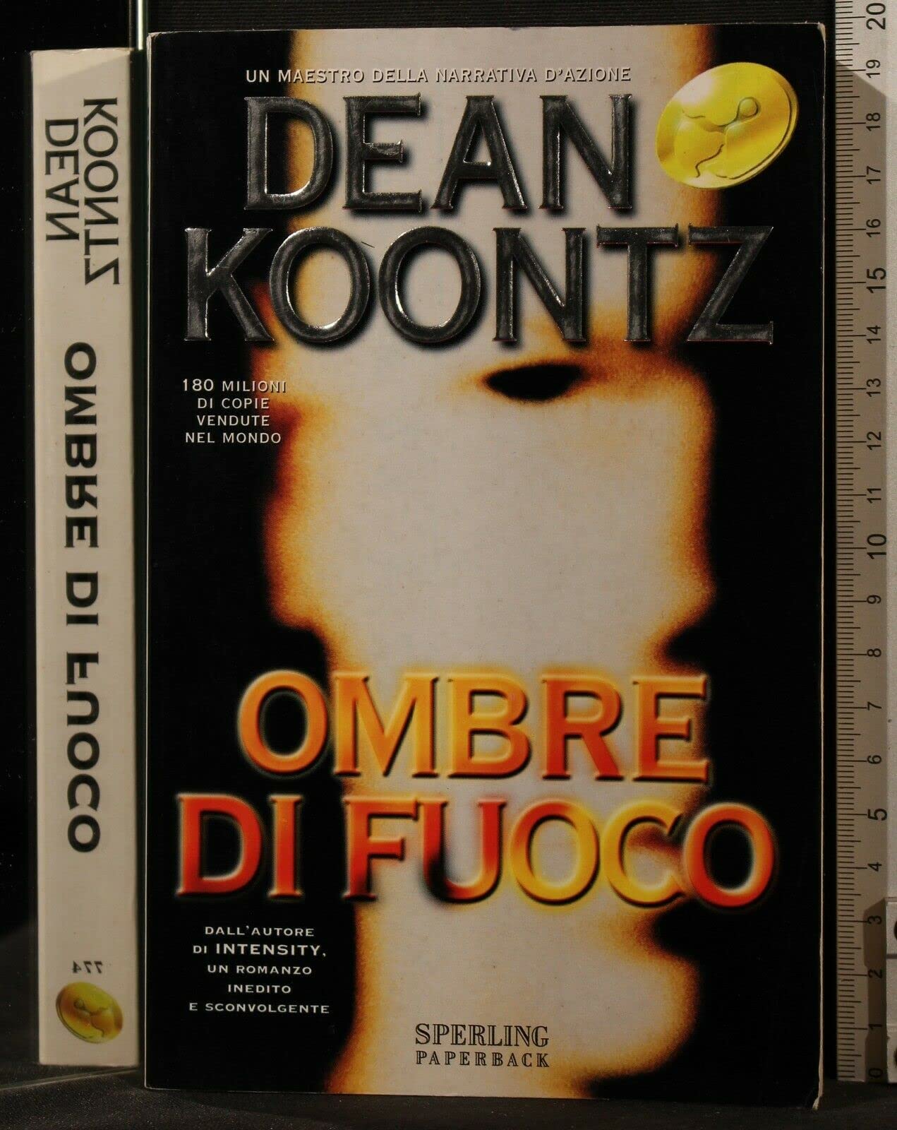 Ombre di fuoco (Super bestseller) Contemporary literature
