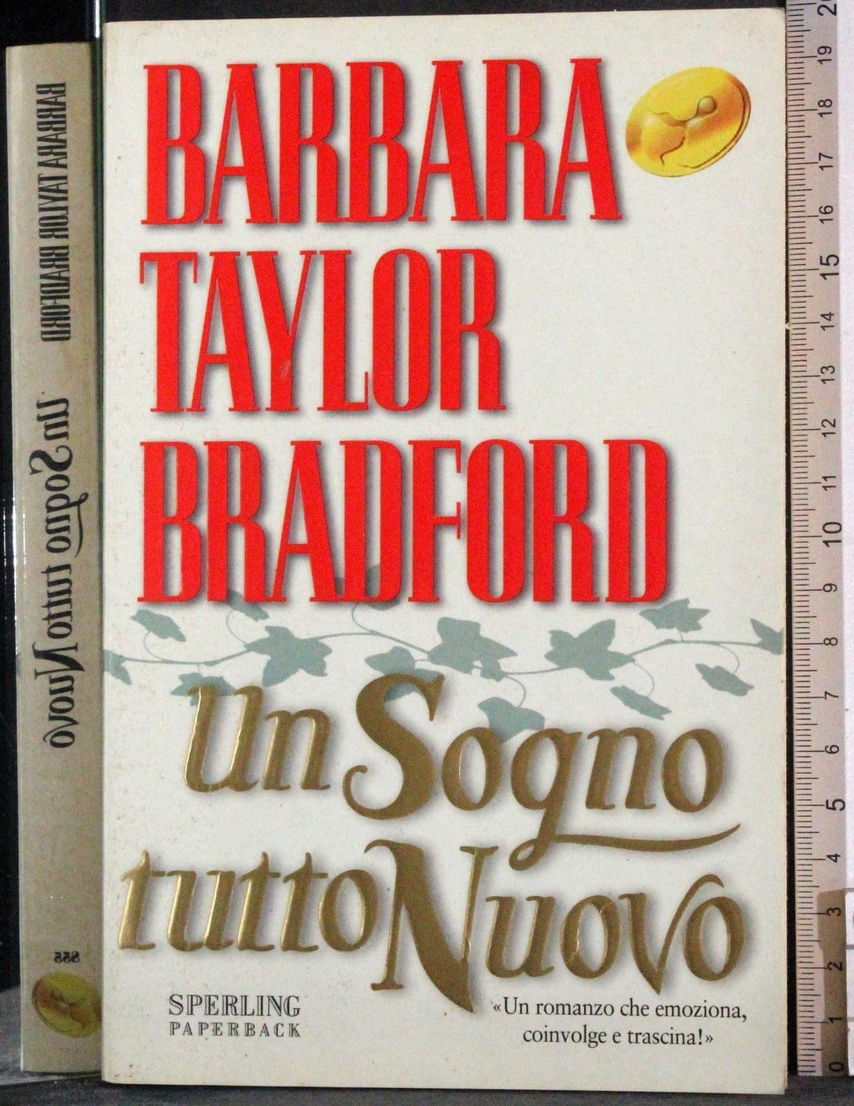 Un Sogno tutto nuovo (Super bestseller) Contemporary literature