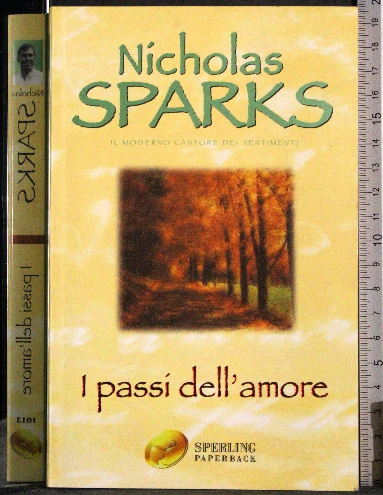 I passi dell'amore (Super bestseller) Contemporary literature