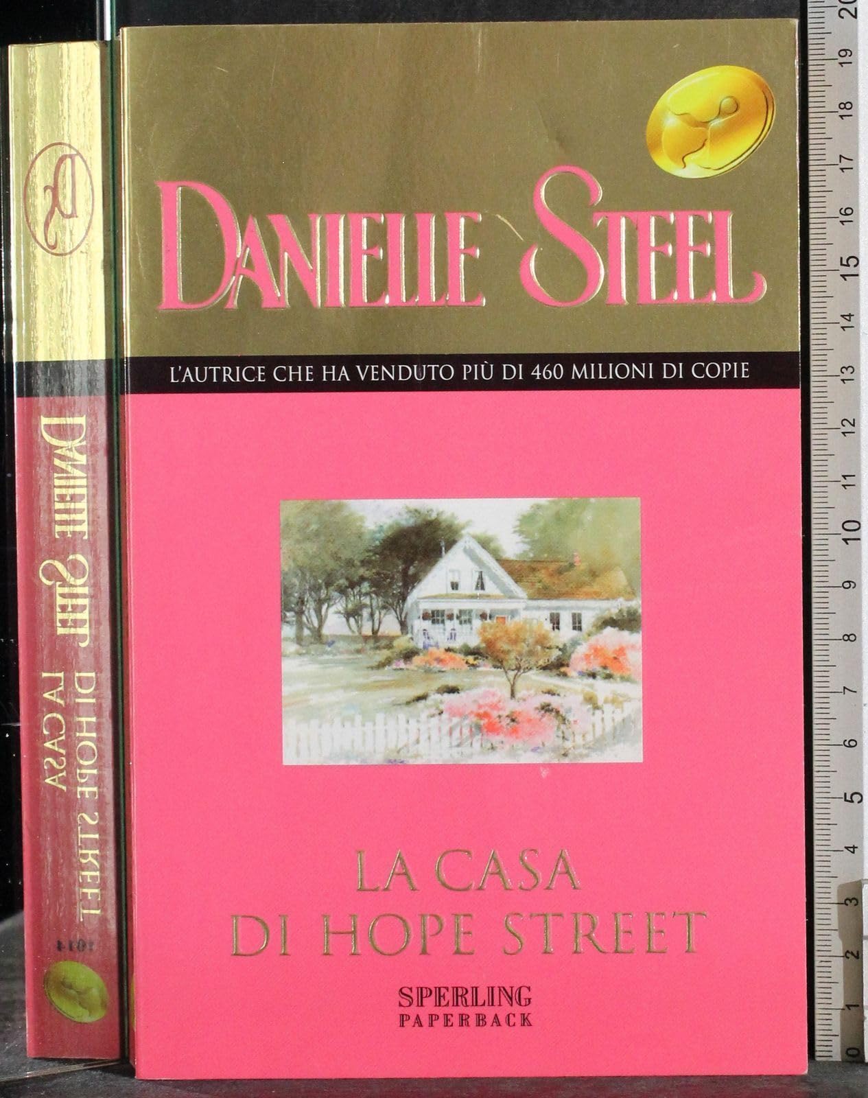 La casa di Hope Street (Super bestseller) Contemporary literature