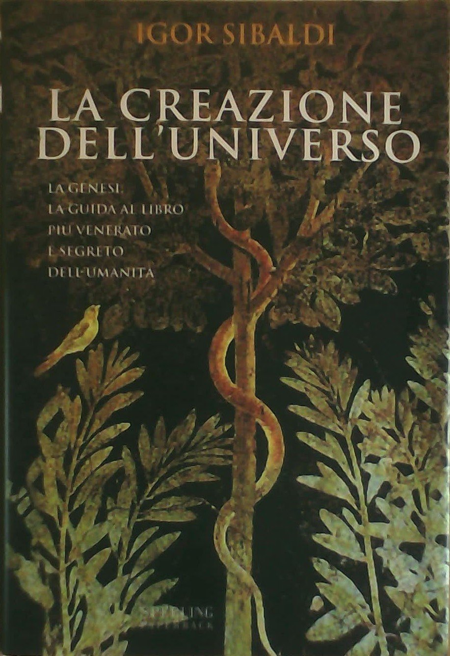 La creazione dell'universo. La Genesi 1-11 book