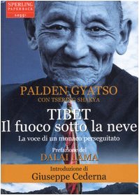 Tibet. Il fuoco sotto la neve (Saggi Paperback) Books