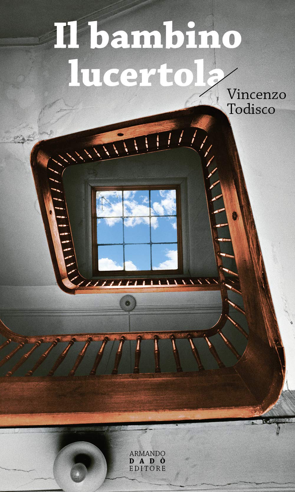 Il bambino lucertola book