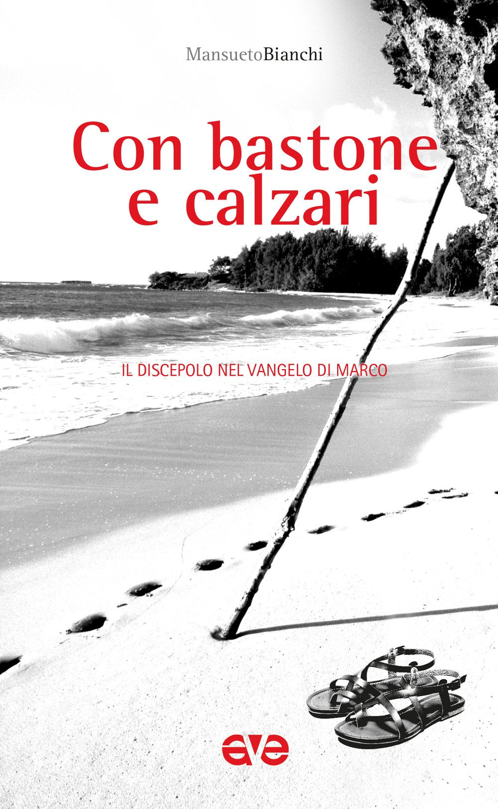 Con bastone e calzari. Il discepolo nel Vangelo di Marco book