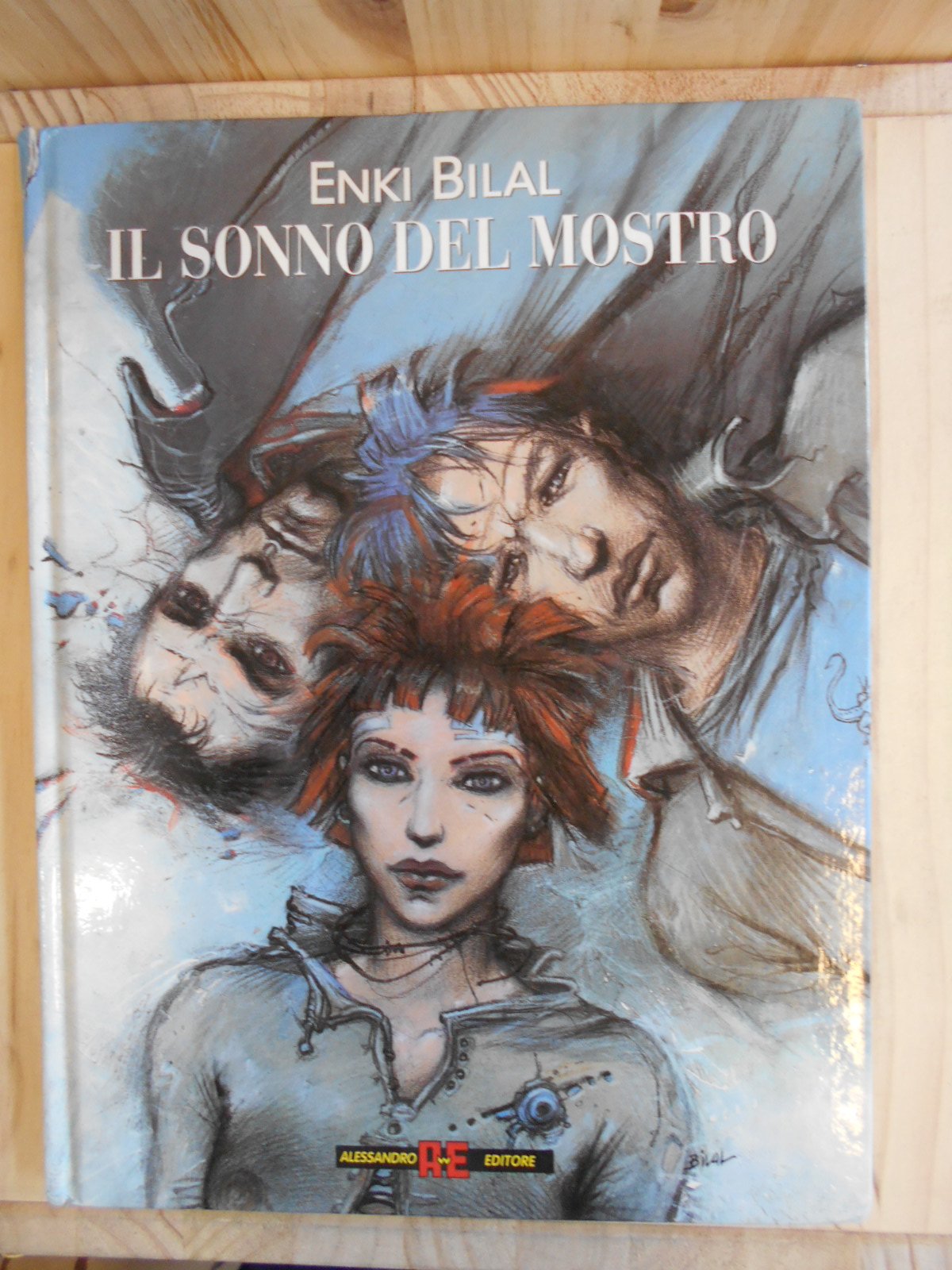 Il sonno del mostro (Vol. 1) book