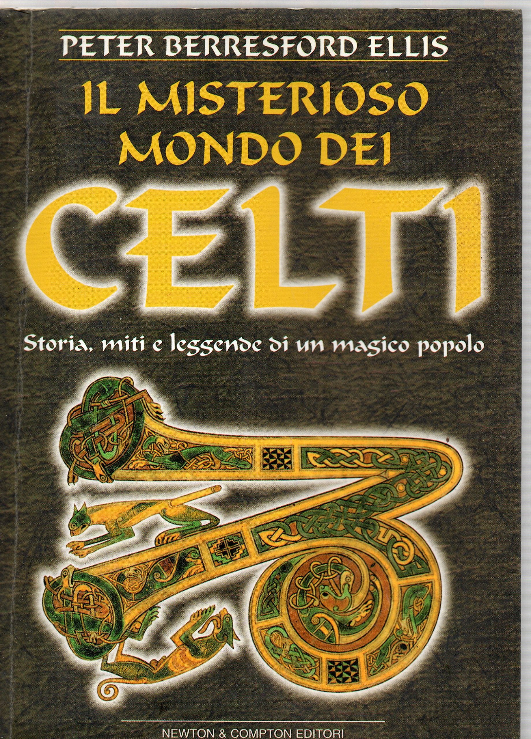 Il misterioso mondo dei celti (I big Newton) Politics & History