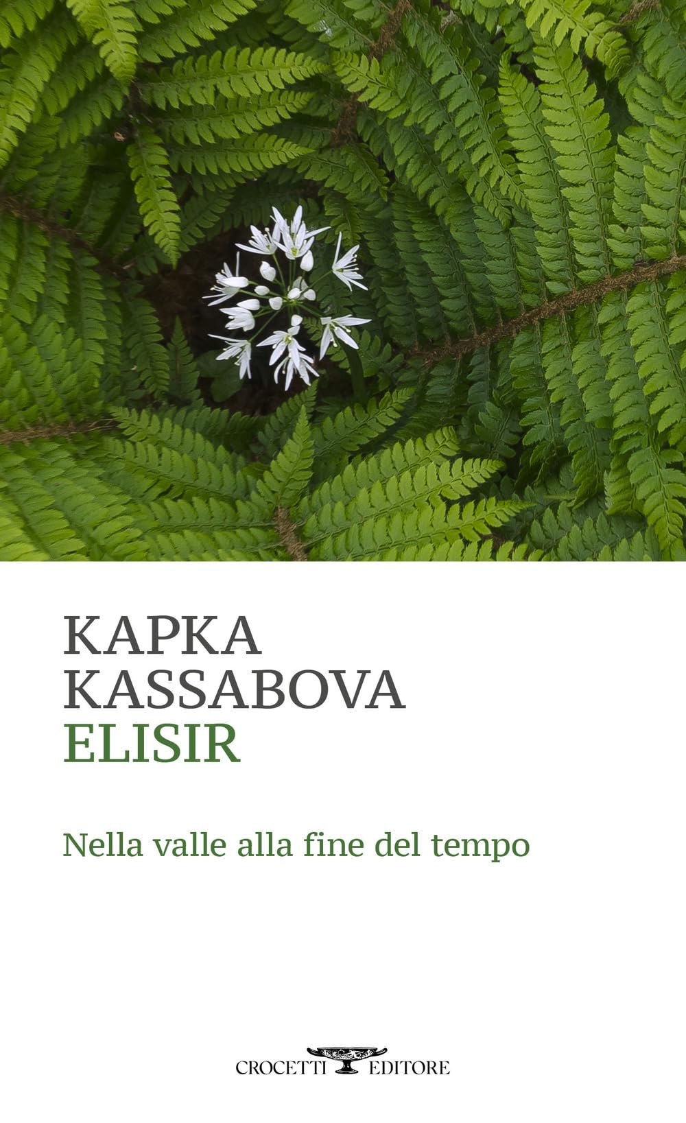Elisir. Nella valle alla fine del tempo book