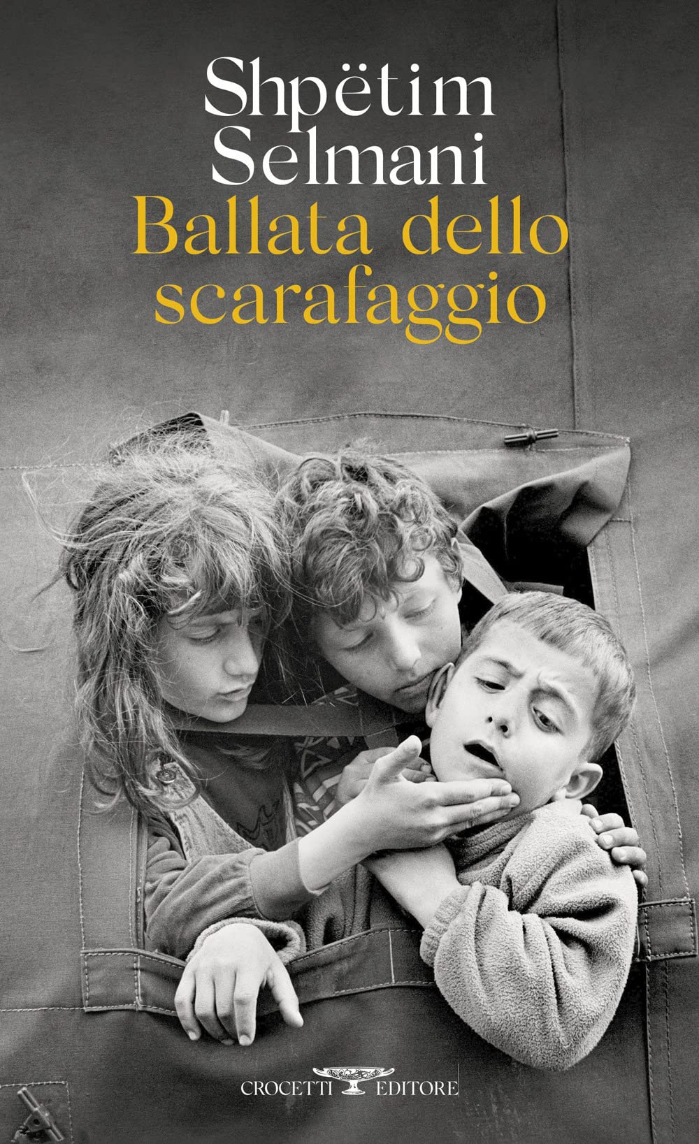 Ballata dello scarafaggio book