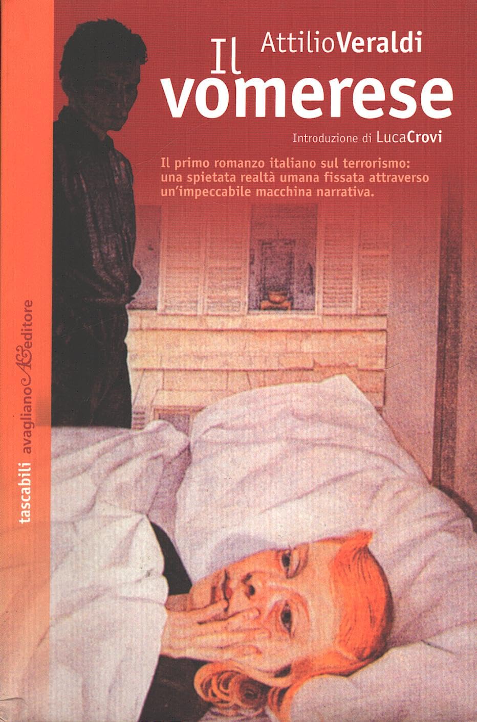 Il vomerese (Tascabili Avagliano) Contemporary literature
