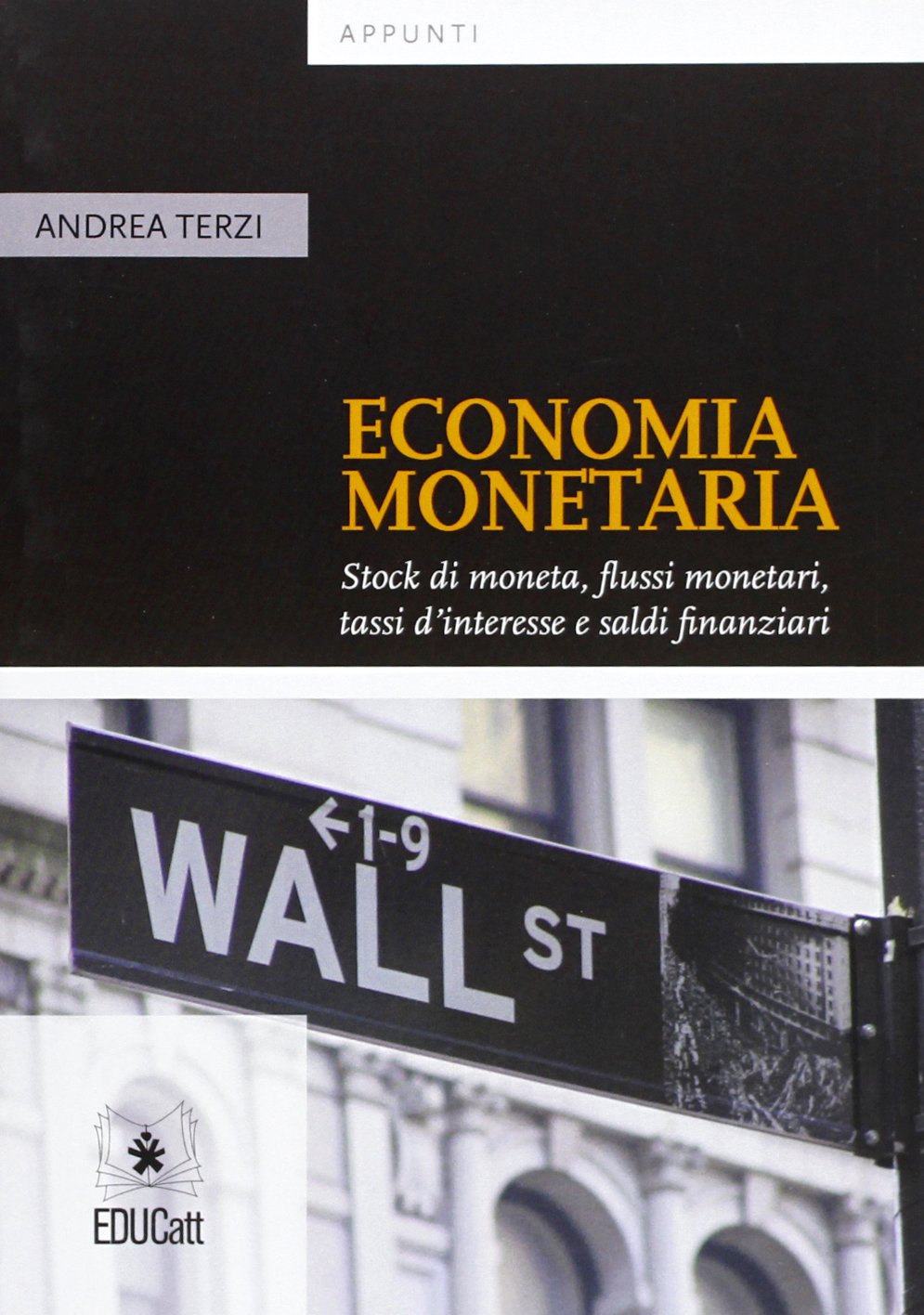 Economia monetaria. Stock di moneta, flussi monetari, tassi d'interesse e saldi finanziari book