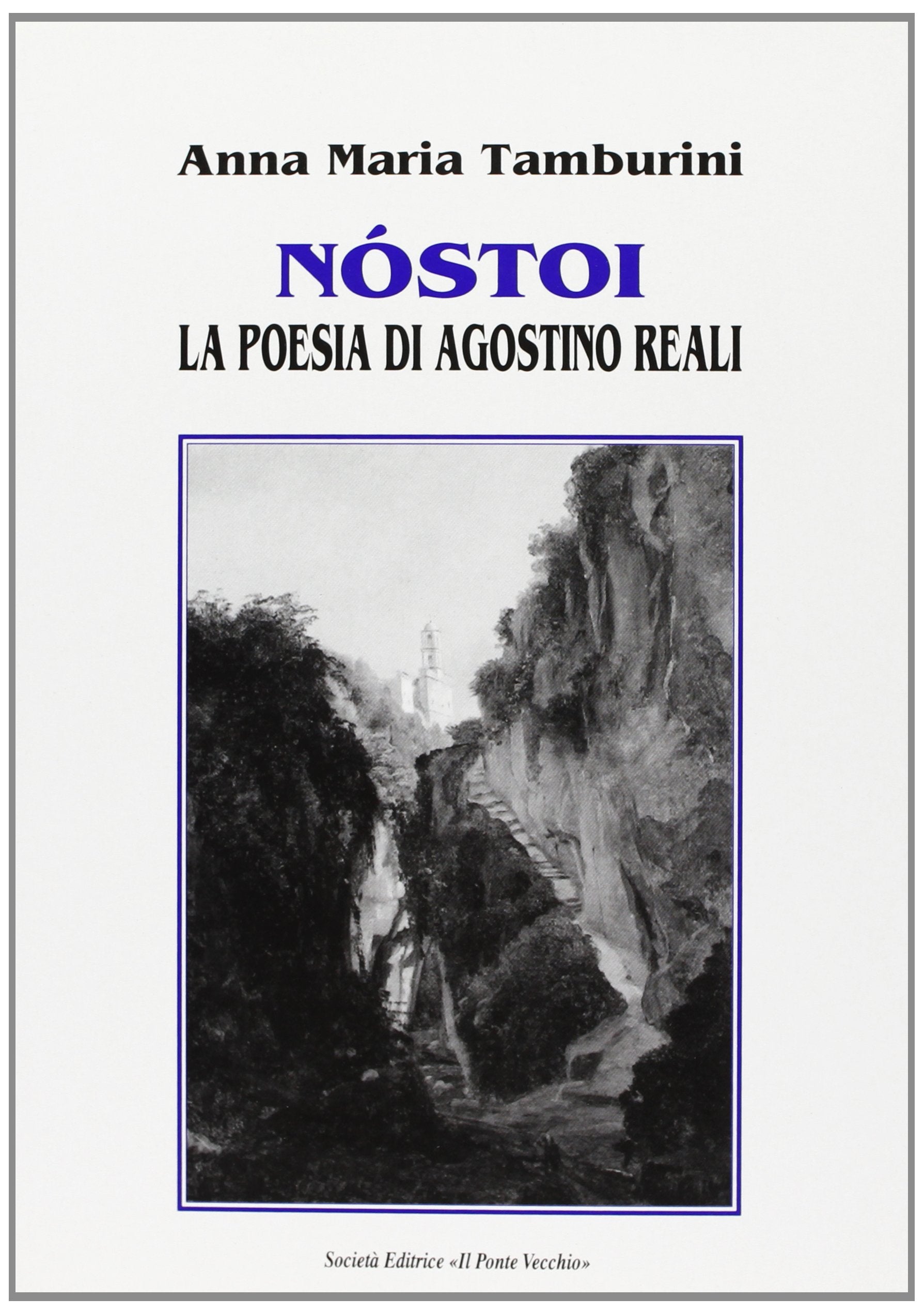 Nóstoi. La poesia di Agostino Reali book
