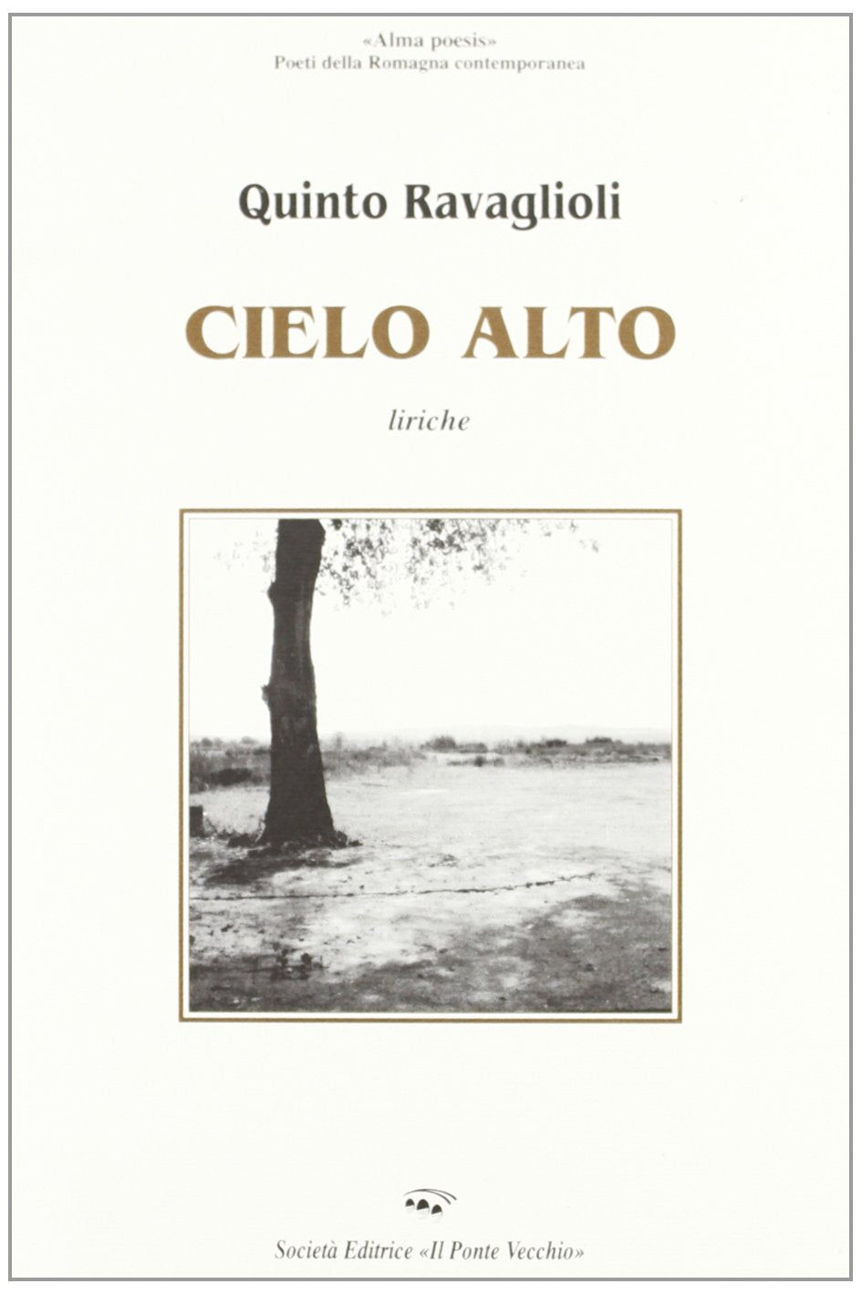 Cielo alto (Alma poesis. Poeti della Romagna contemp.) Poetry