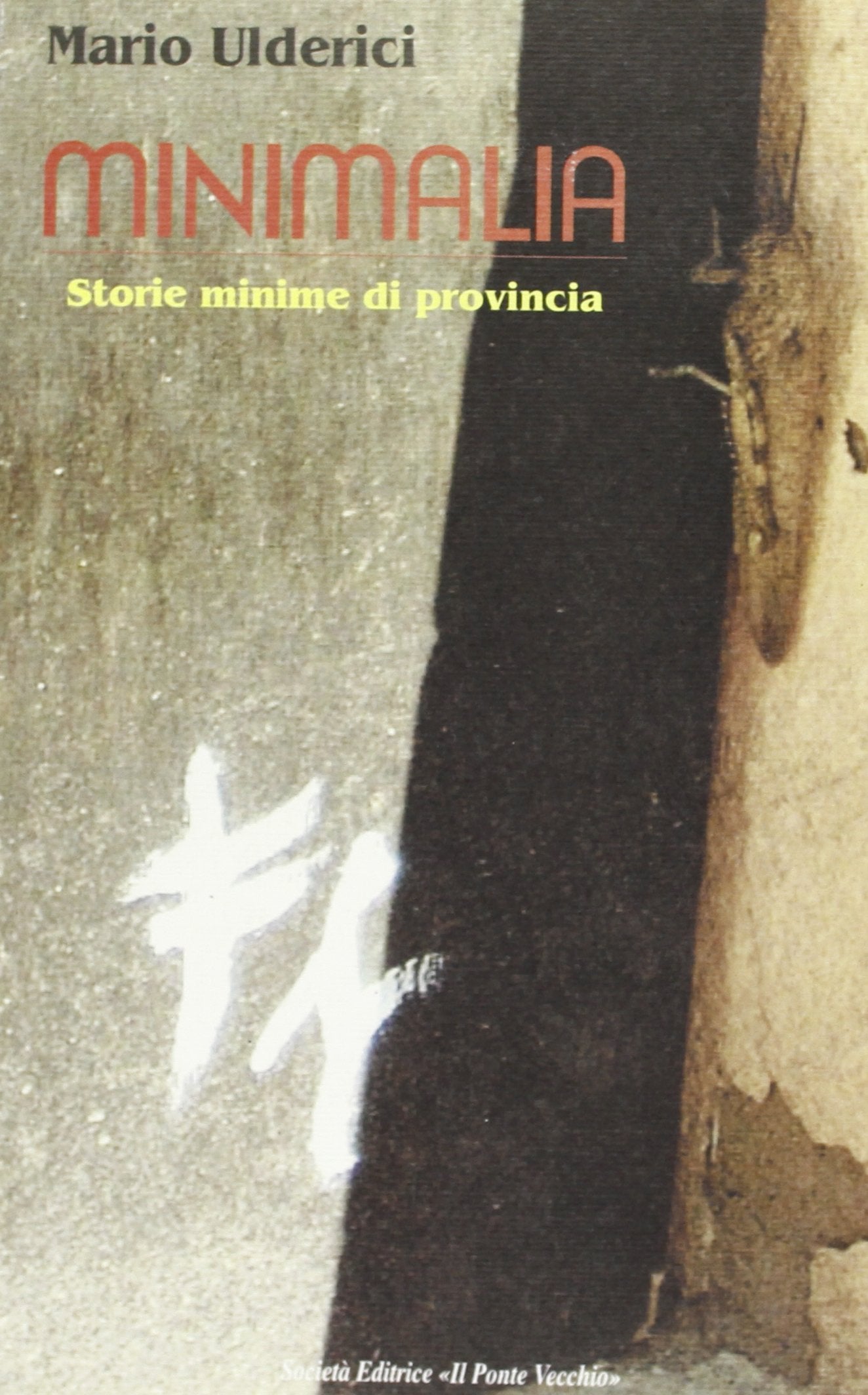 Minimalia. Storie minime di provincia (Romandíola) Contemporary literature