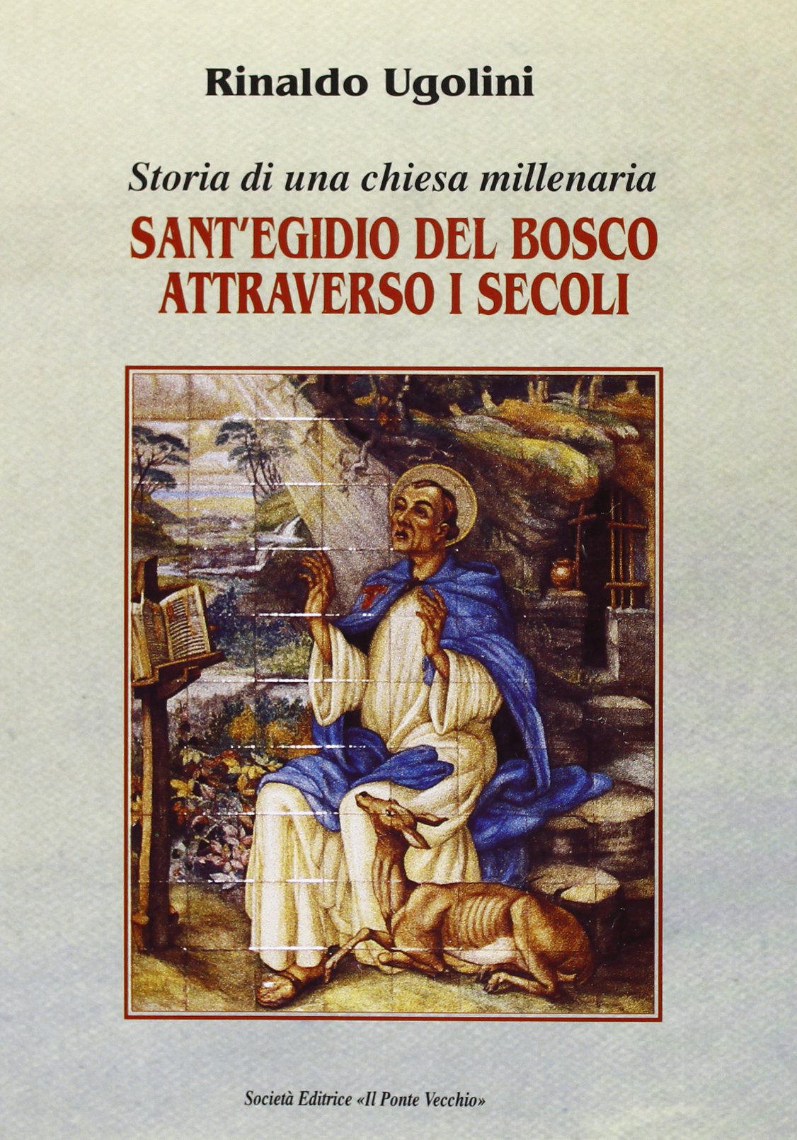 Sant'Egidio del Bosco attraverso i secoli. Storia di una chiesa millenaria (Vicus. Testi e documenti di storia locale) Leisure, Home & Garden