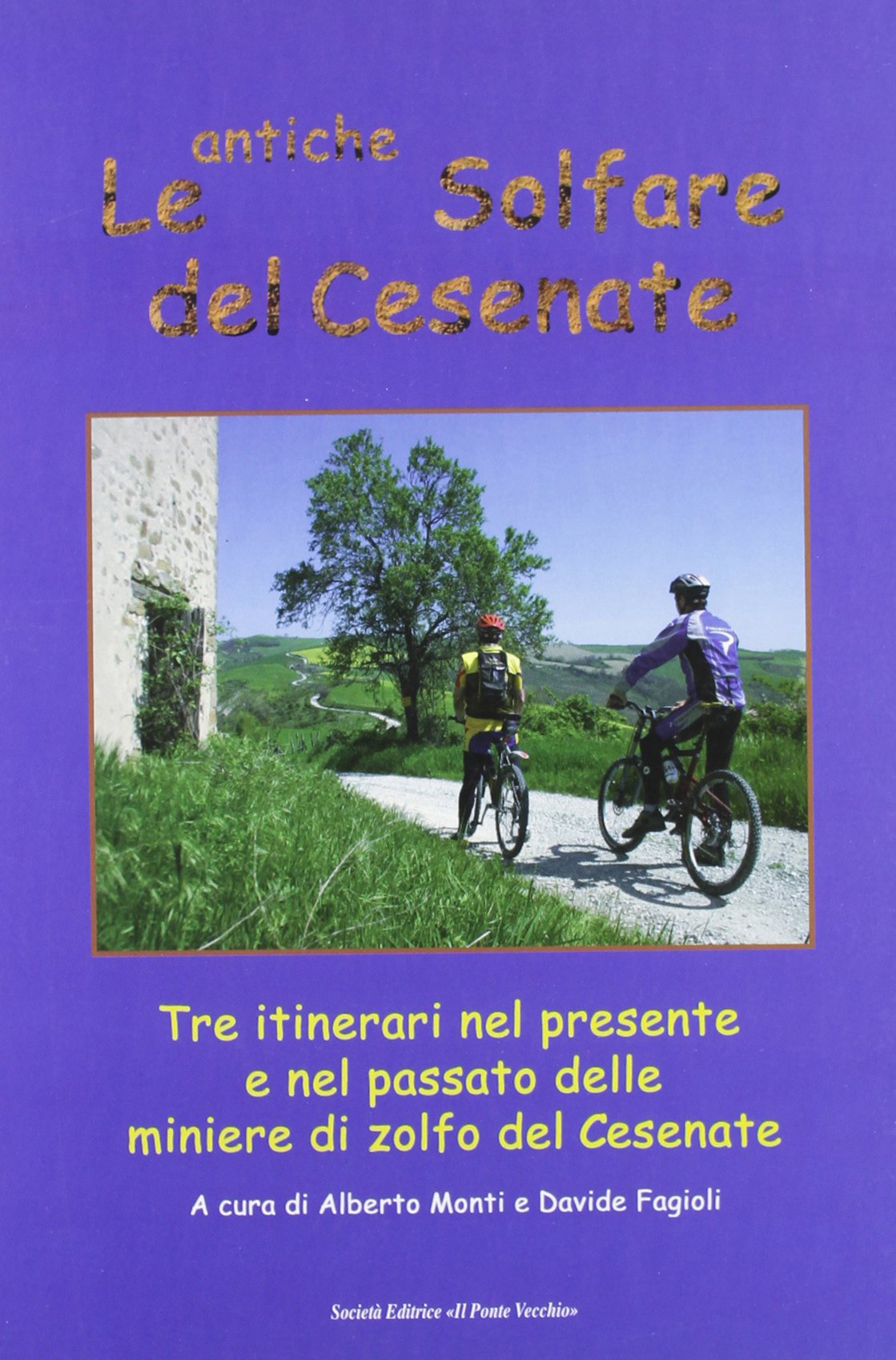 Le antiche solfare del cesenate. Tre itinerari nel presente e nel passato delle miniere di zolfo del cesenate (Vicus. Testi e documenti di storia locale) Politics & History