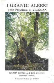 I grandi alberi della provincia di Venezia book