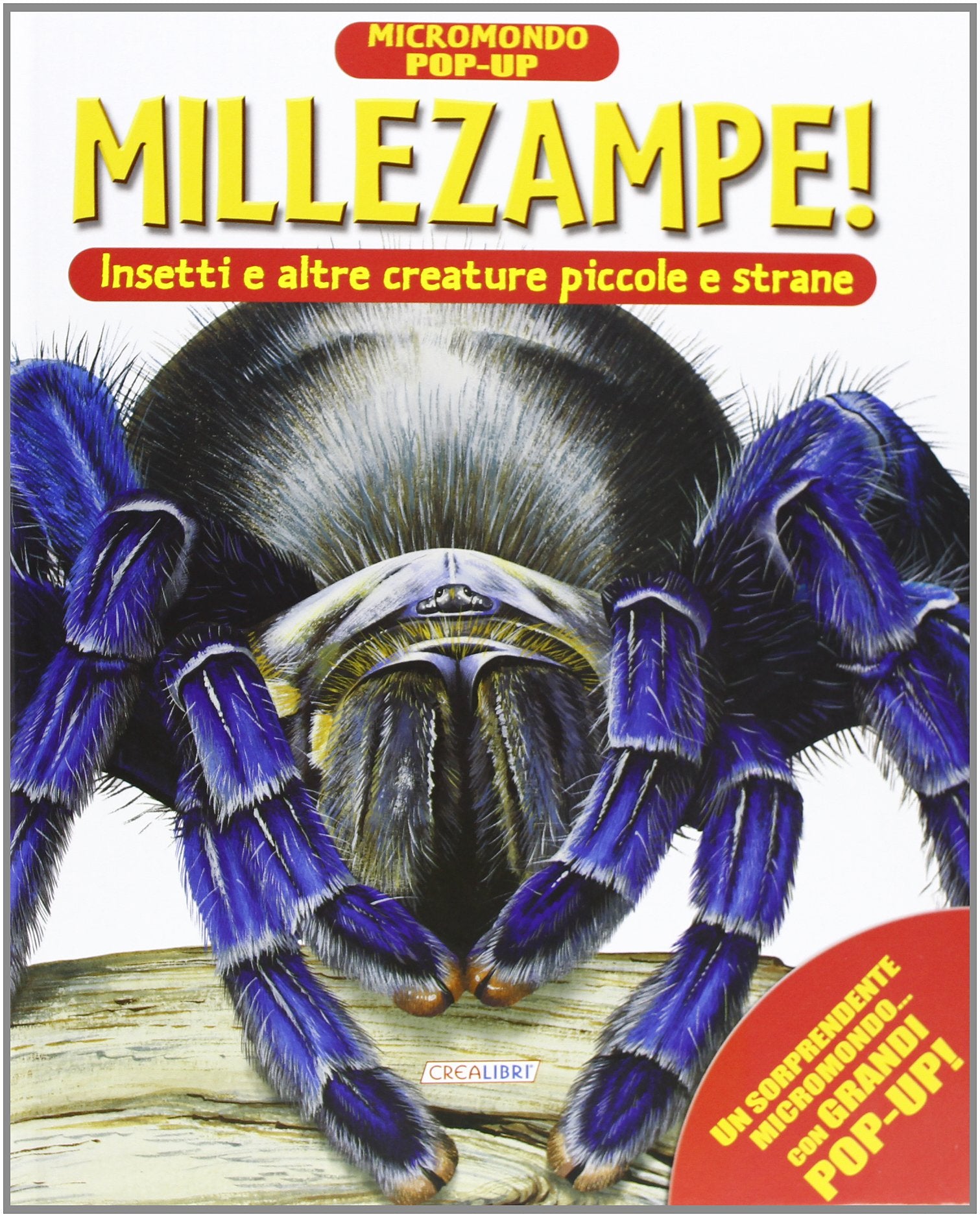 Millezampe! Insetti e altre creature piccole e strane. Micromondo. Libro pop-up. Ediz. illustrata book