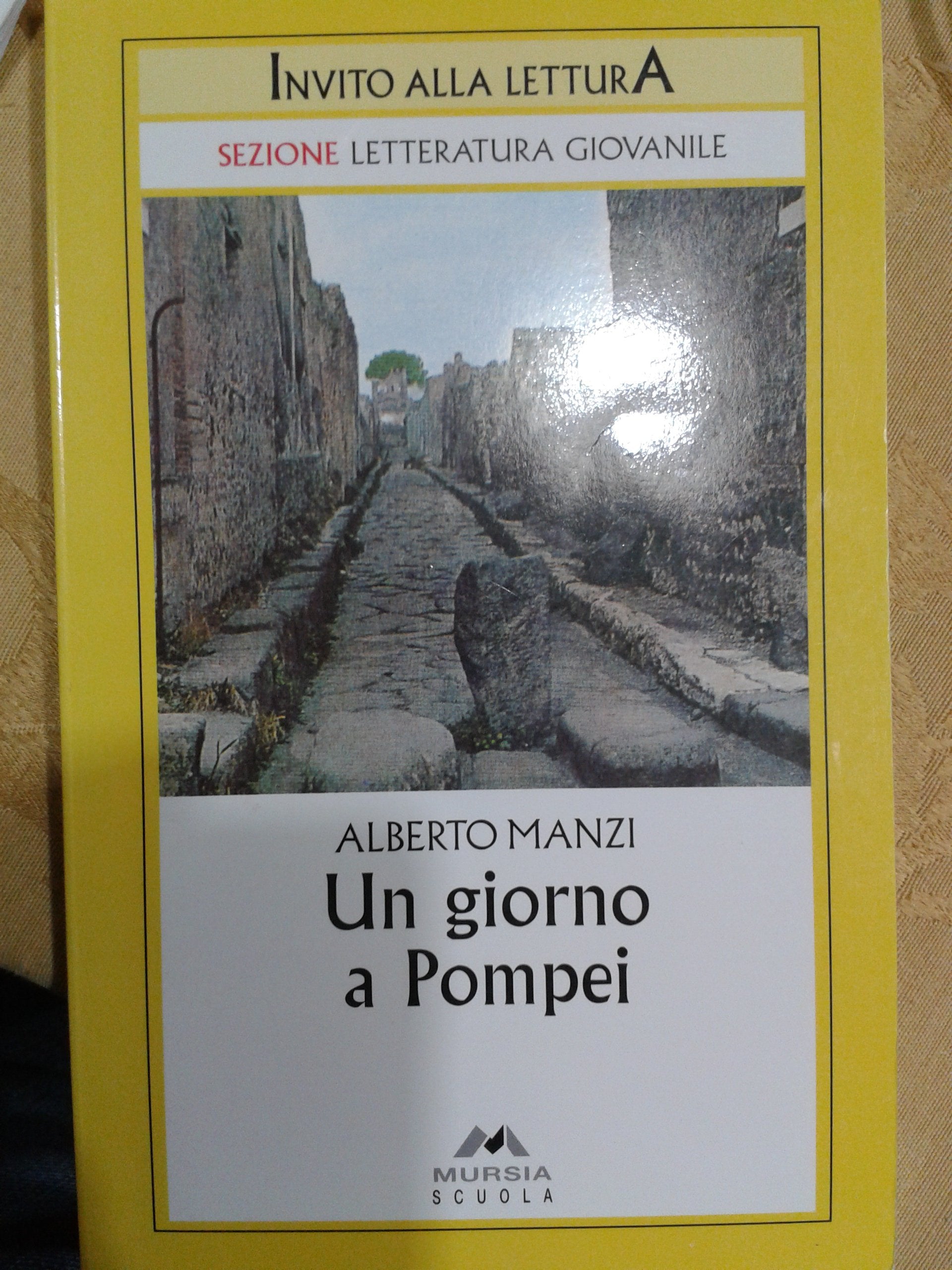 Un giorno a Pompei book