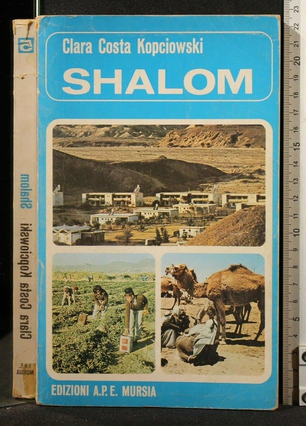 Shalom (Questo nostro mondo. Narrativa) Professional & Reference Books