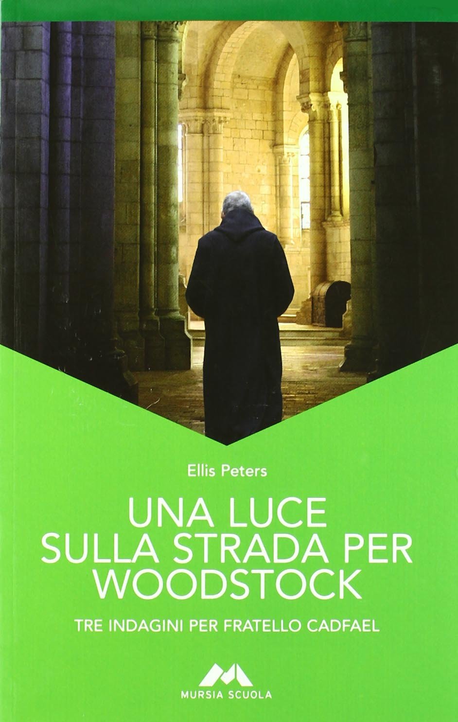 Una luce sulla strada per Woodstock Professional & Reference Books