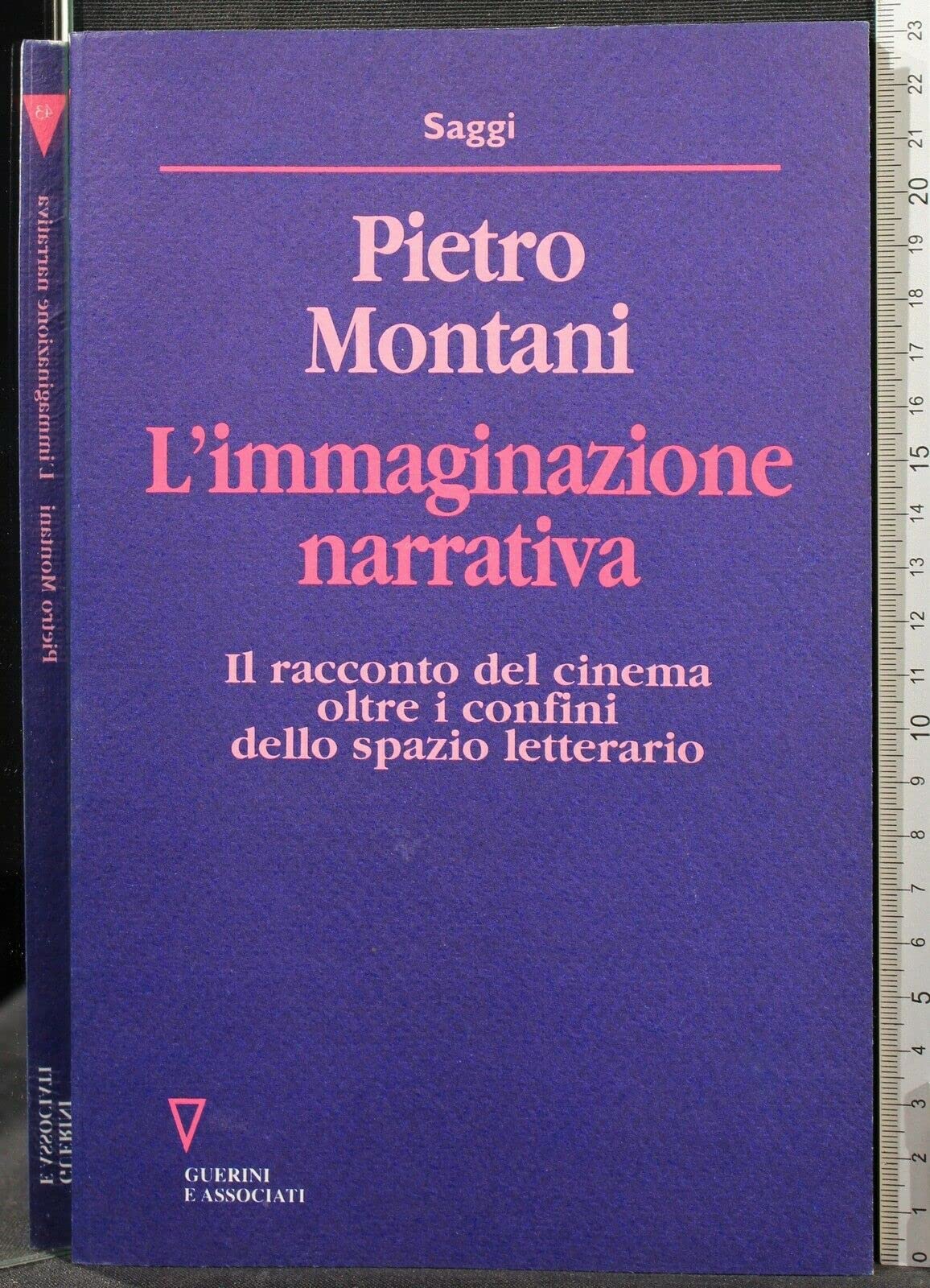 L'immaginazione narrativa. Il racconto del cinema oltre i confini dello spazio letterario (Saggi) Film, Art & Culture