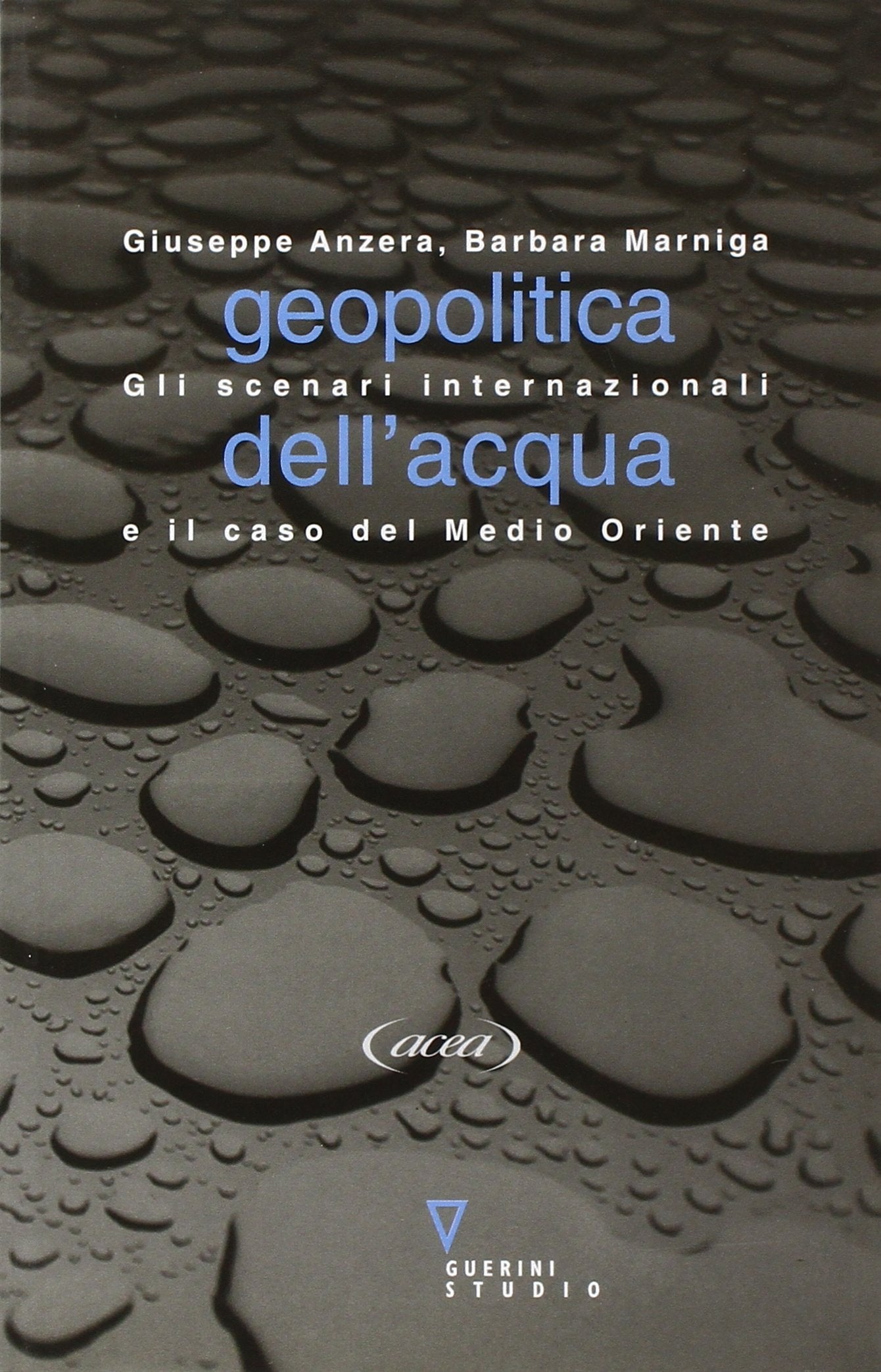 Geopolitica dell'acqua. Gli scenari internazionali e il caso del Medio Oriente book
