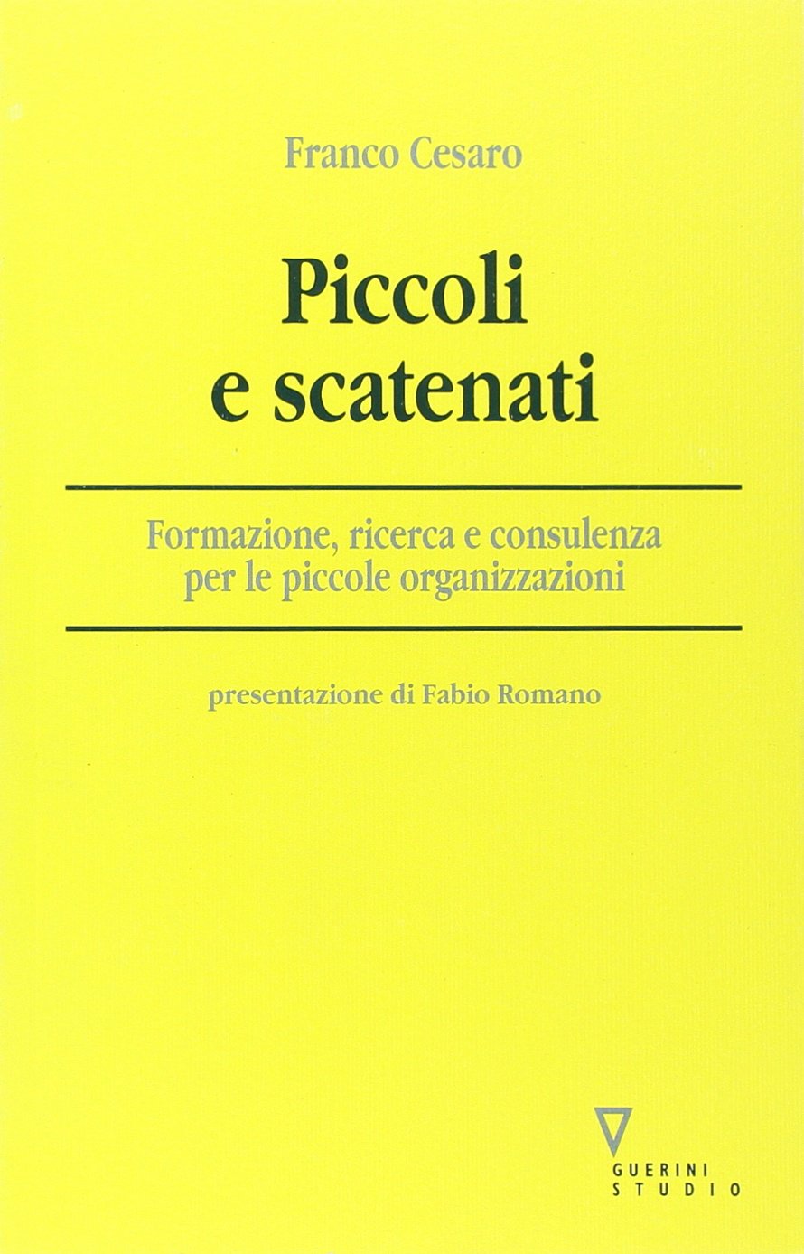 Piccoli e scatenati. Formazione, ricerca e consulenza per le piccole organizzazioni book