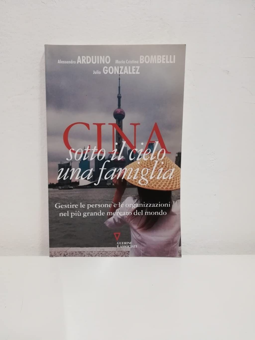 Cina. Sotto il cielo una famiglia. Gestire le persone e le organizzazioni nel più grande mercato del mondo book