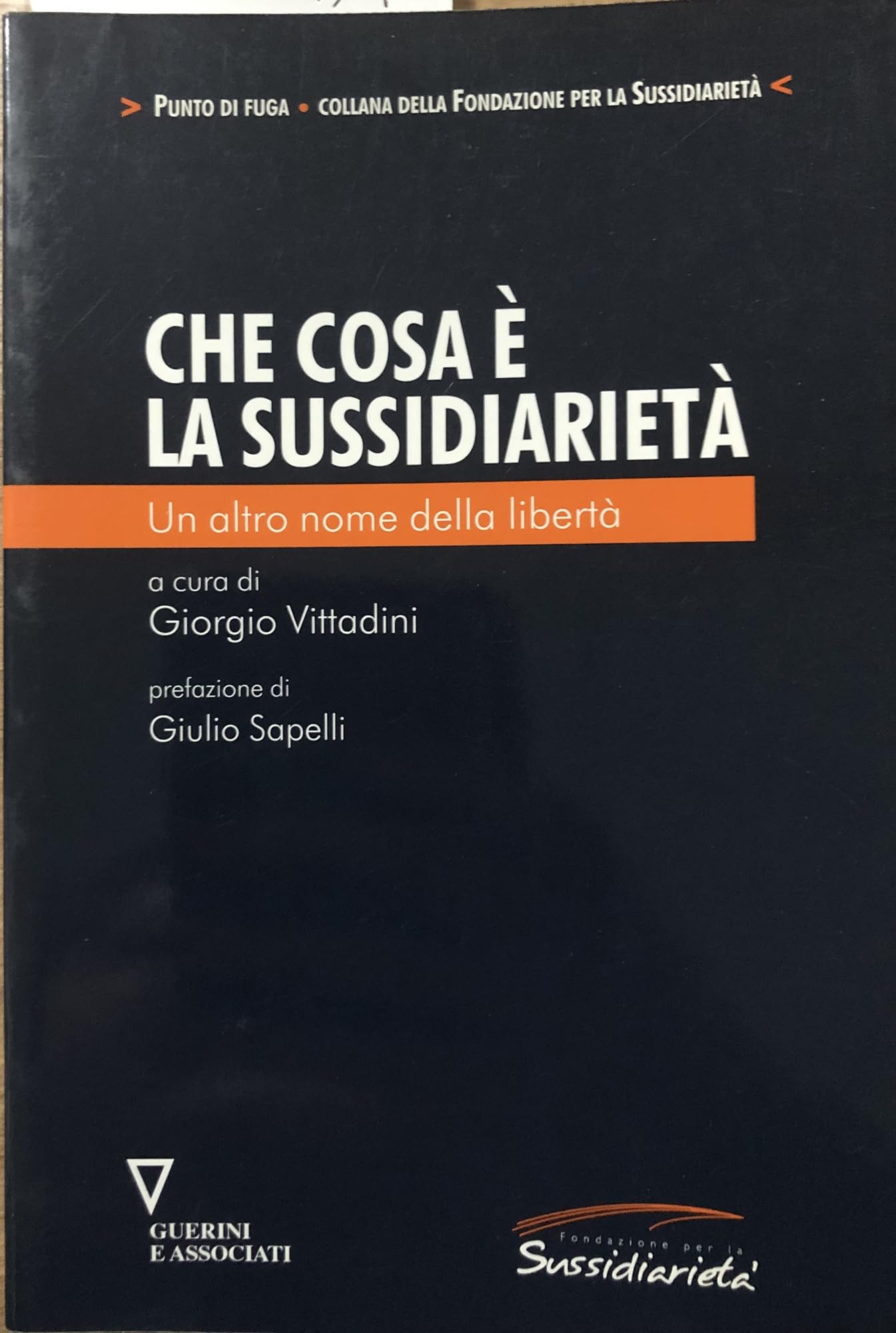 Che cos'è la sussidiarietà. Un altro nome della libertà book