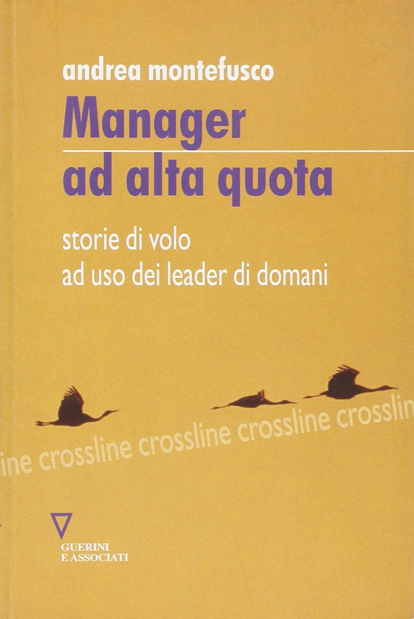 Manager ad alta quota. Storie di volo ad uso dei leader di domani book