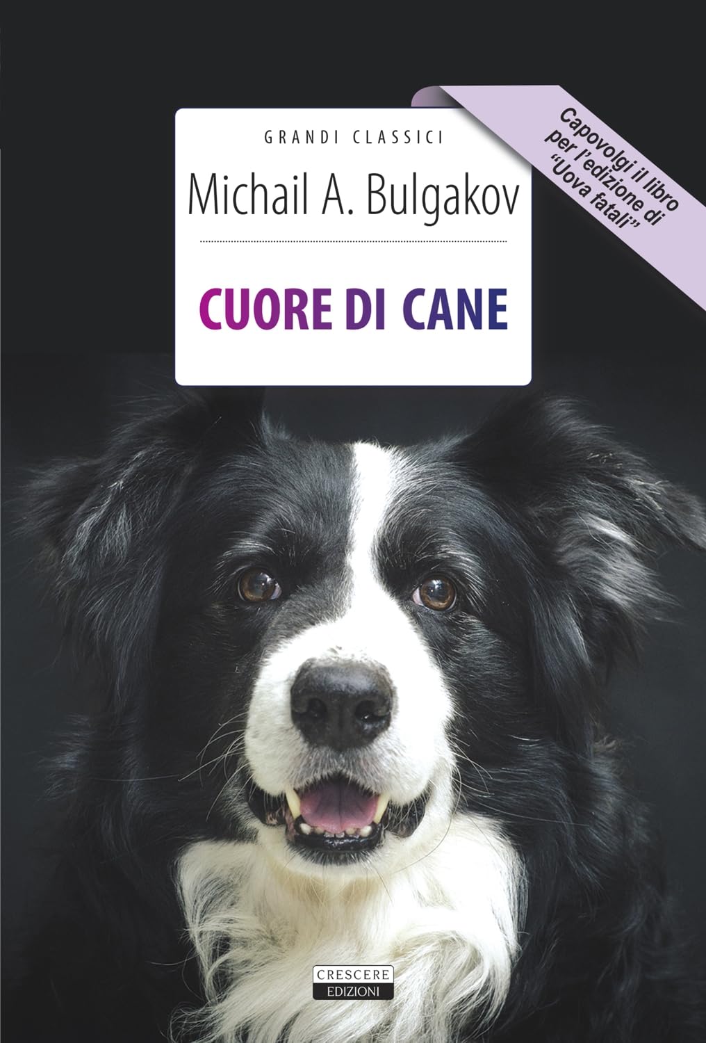 Cuore di cane-Uova fatali (Grandi classici) Contemporary literature