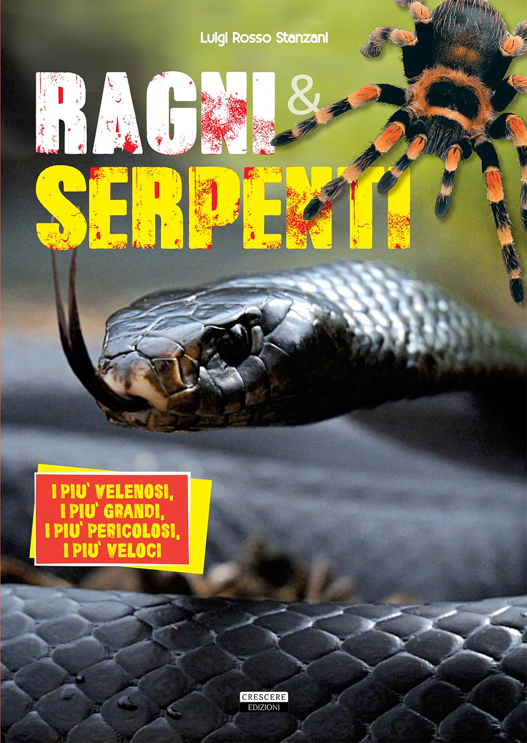 Ragni e serpenti. I più velenosi, i più grandi, i più pericolosi, i più veloci (Manuali) Leisure, Home & Garden