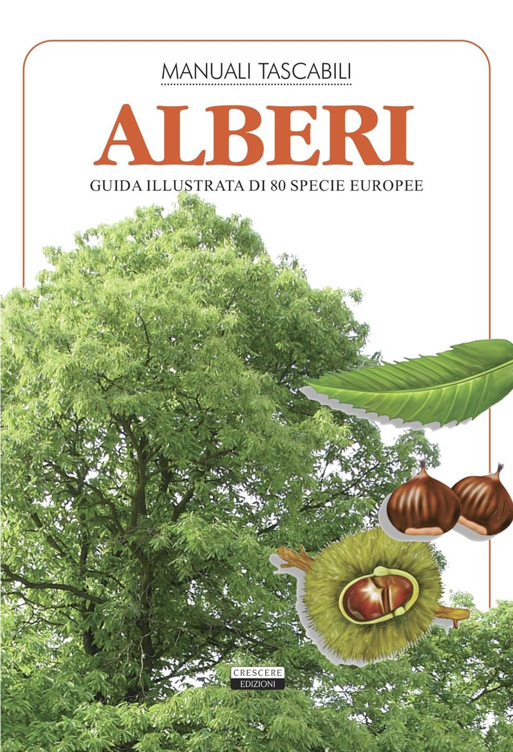 Alberi. Guida illustrata di 80 specie europee book