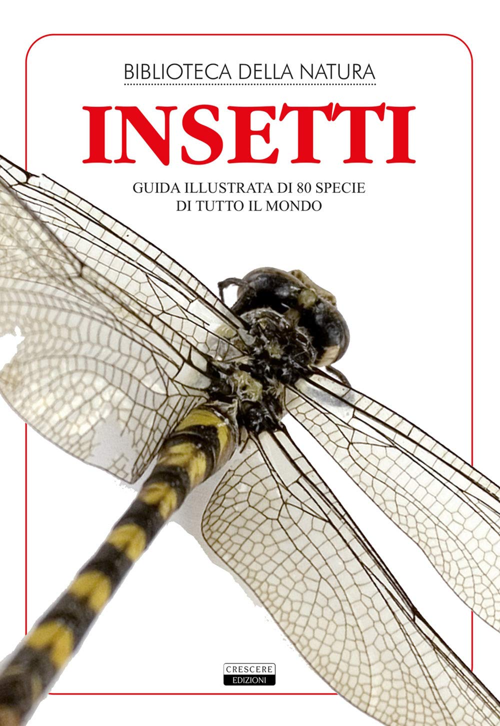 Insetti. Guida illustrata di 80 specie di tutto il mondo book
