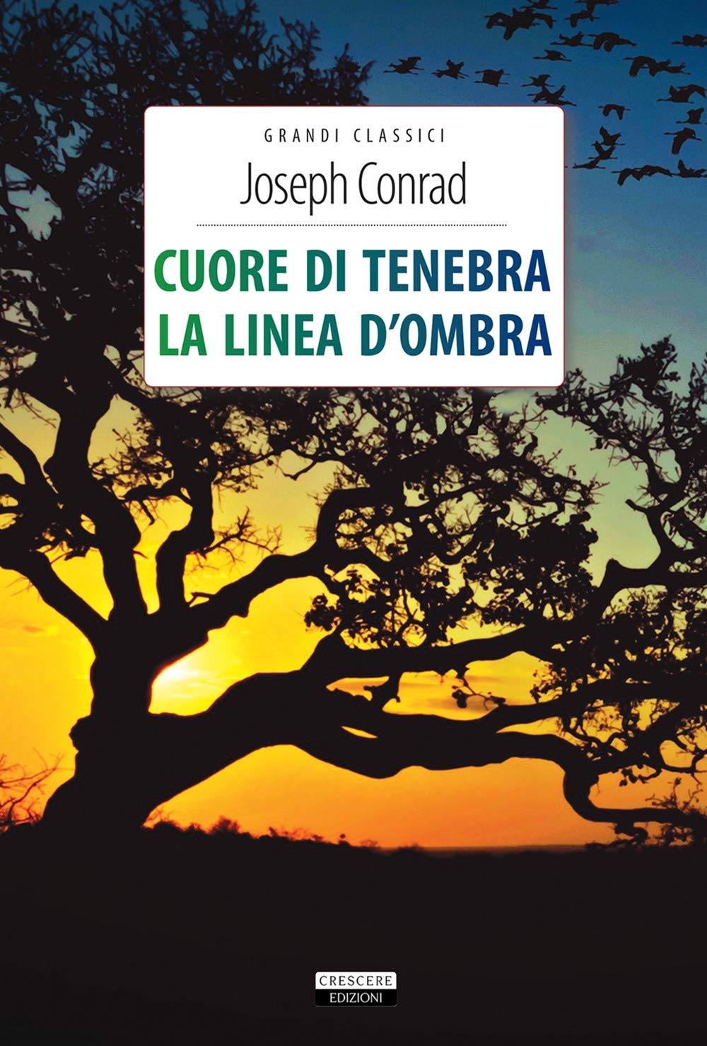 Cuore Di Tenebra-La Linea D'ombra. Ediz. Integrale. Con Segnalibro Contemporary literature