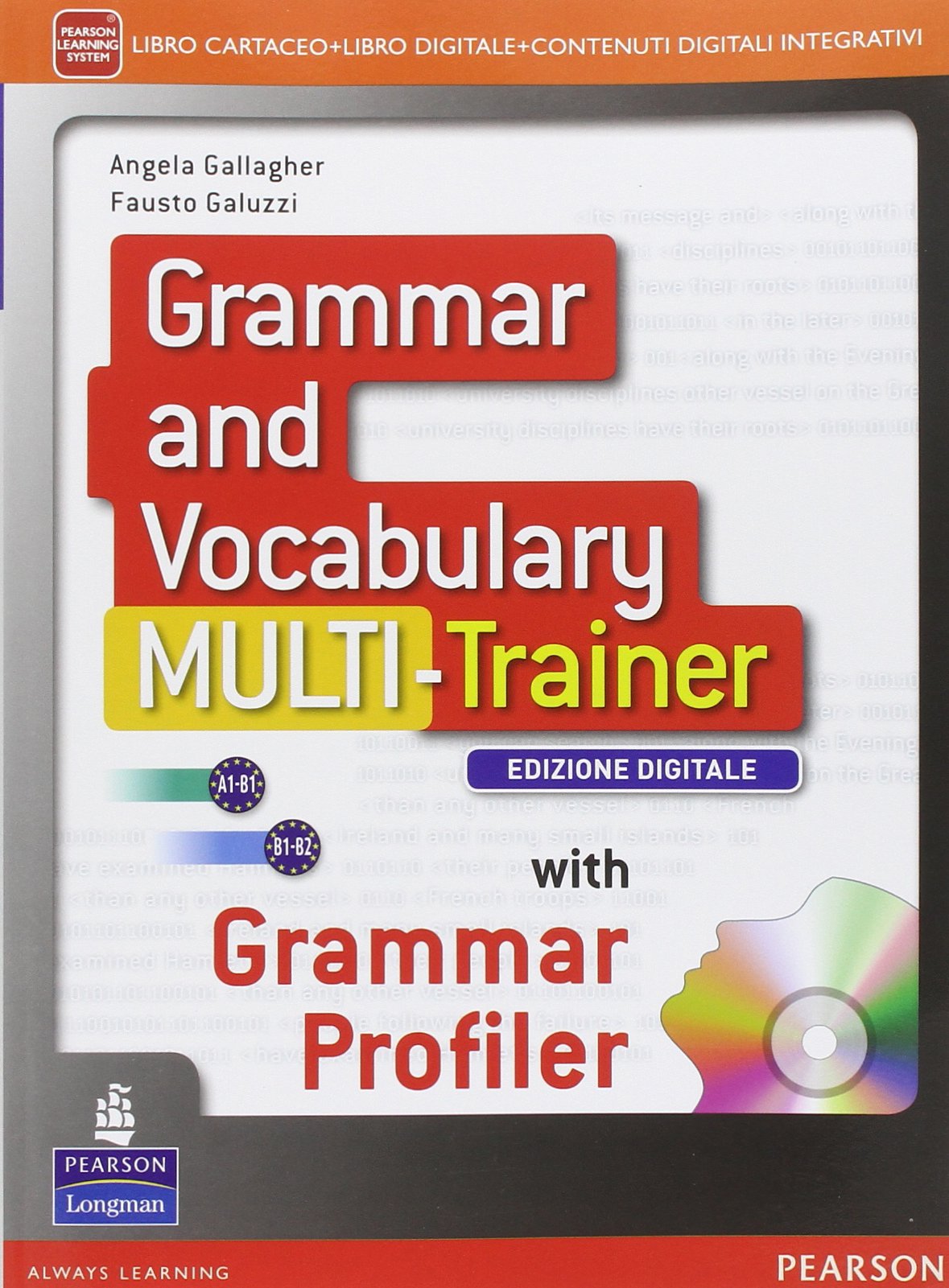Grammar and vocabulary multitrainer. Per le Scuole superiori. Con e-book. Con espansione online Professional & Reference Books