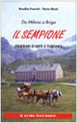 Da Milano a Briga: il Sempione. Itinerari d'arte e turismo (Guide Macchione) Leisure, Home & Garden